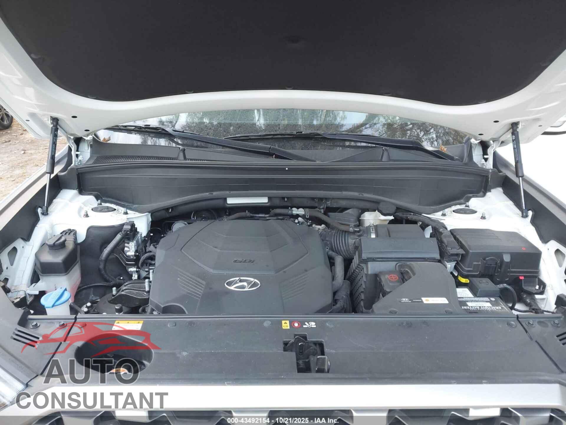 HYUNDAI PALISADE 2022 - KM8R14HE0NU393473