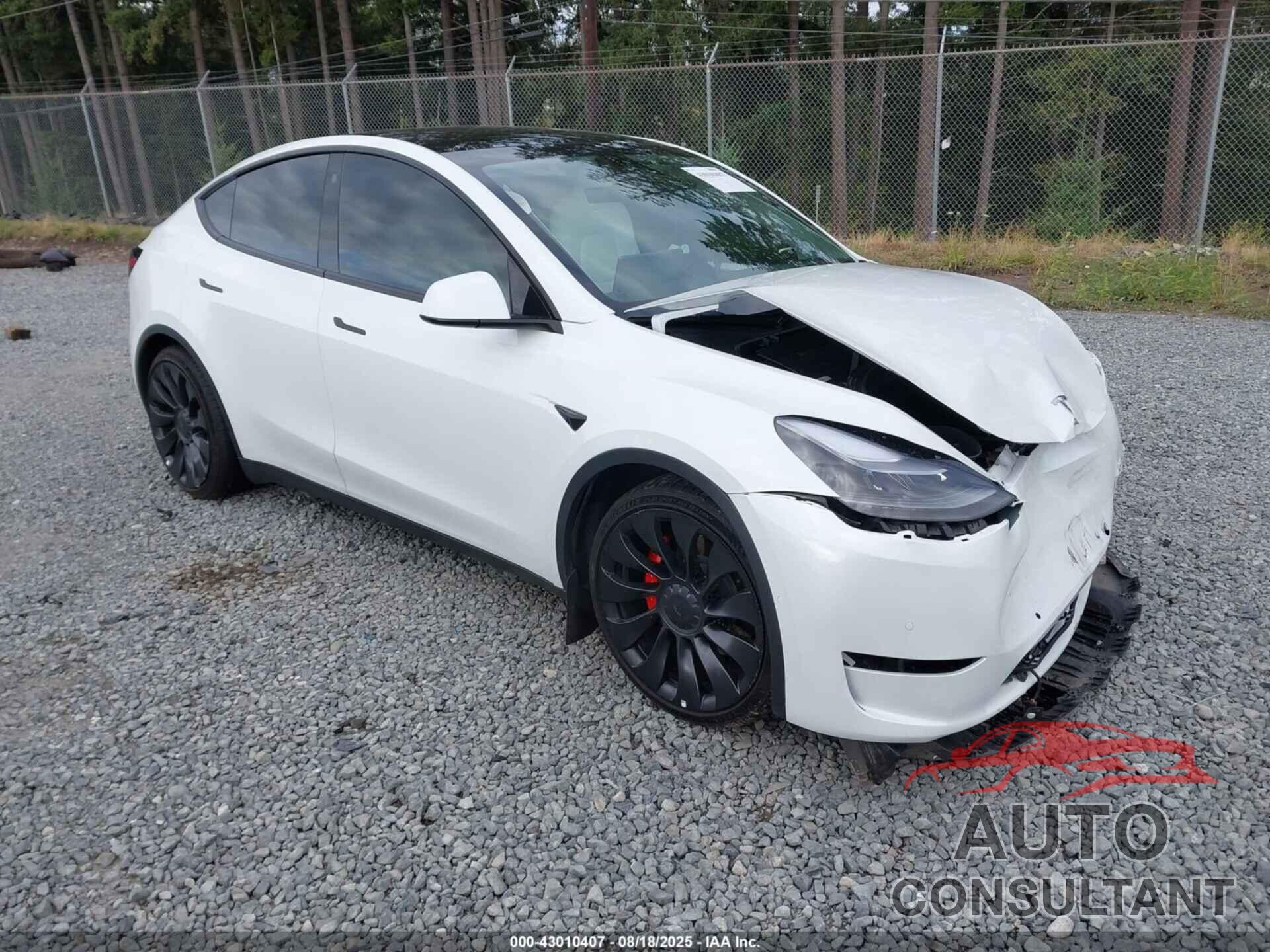 TESLA MODEL Y 2022 - 7SAYGDEF3NF565275