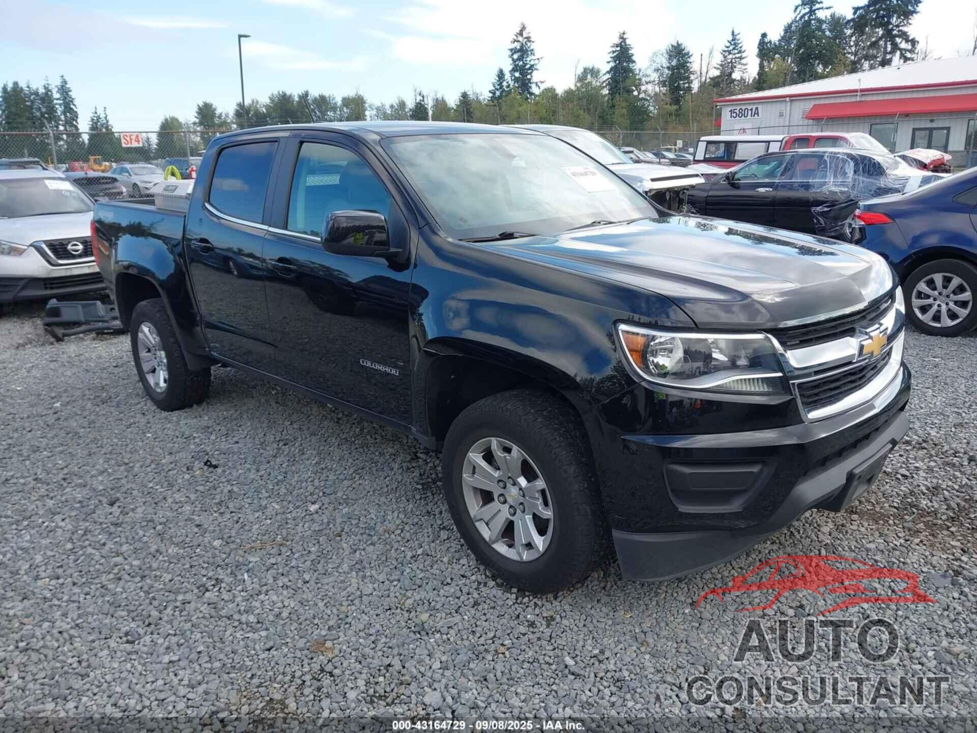 CHEVROLET COLORADO 2019 - 1GCGTCEN0K1124469