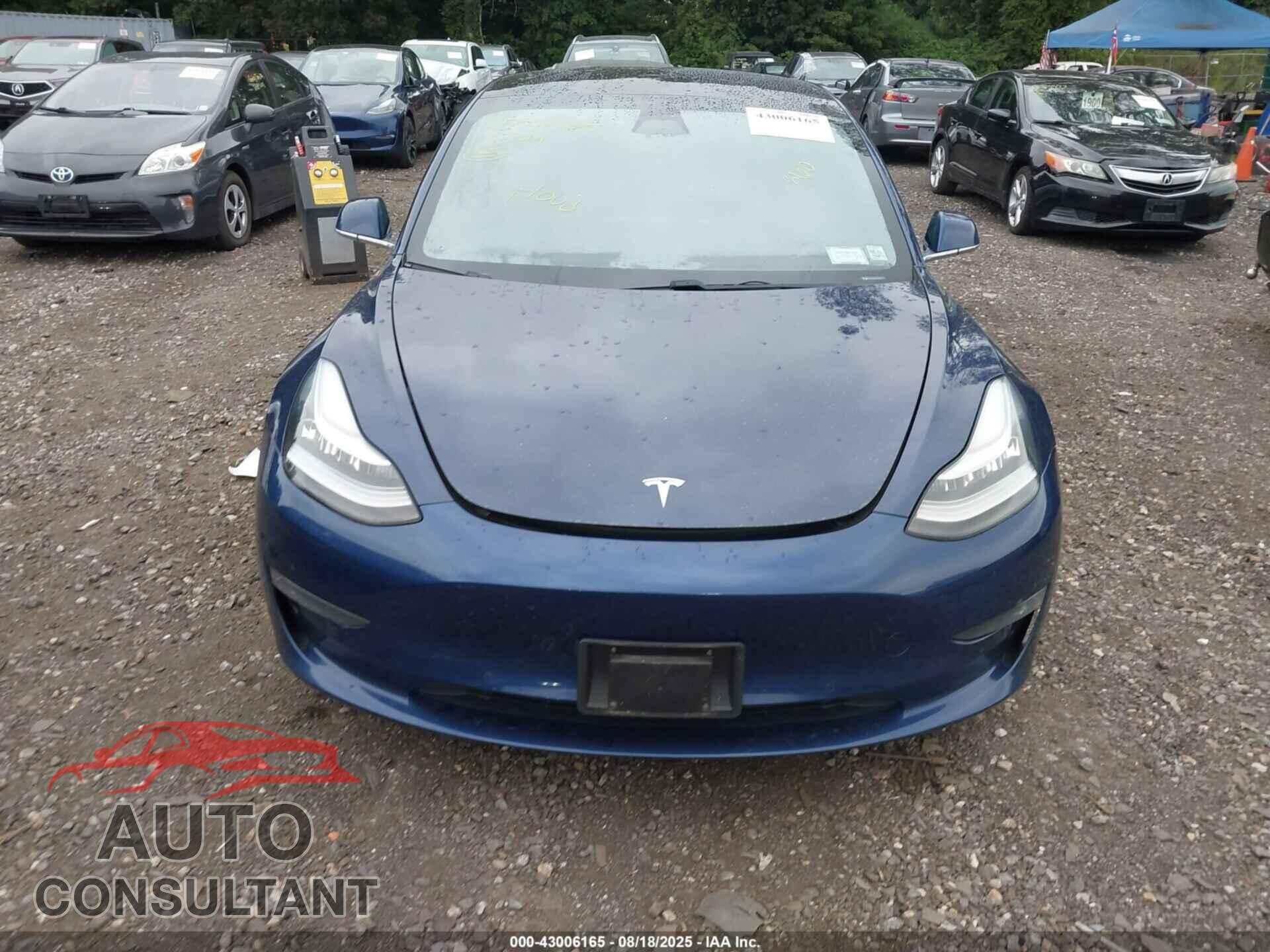 TESLA MODEL 3 2019 - 5YJ3E1EB0KF211069