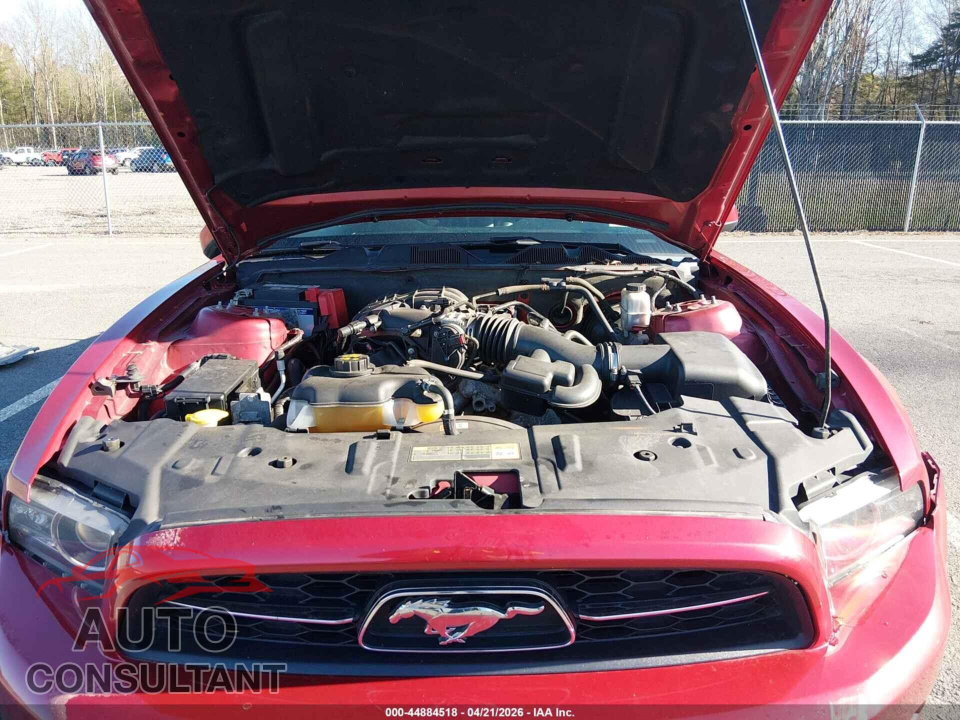 FORD MUSTANG 2013 - 1ZVBP8AM3D5259947