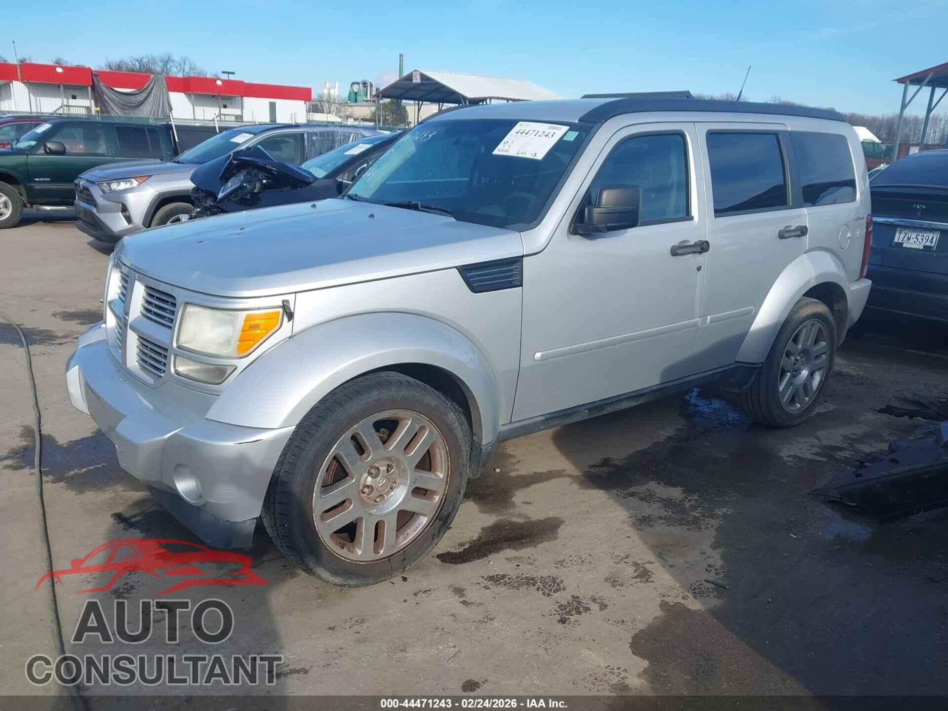 DODGE NITRO 2011 - 1D4PU4GK9BW529595