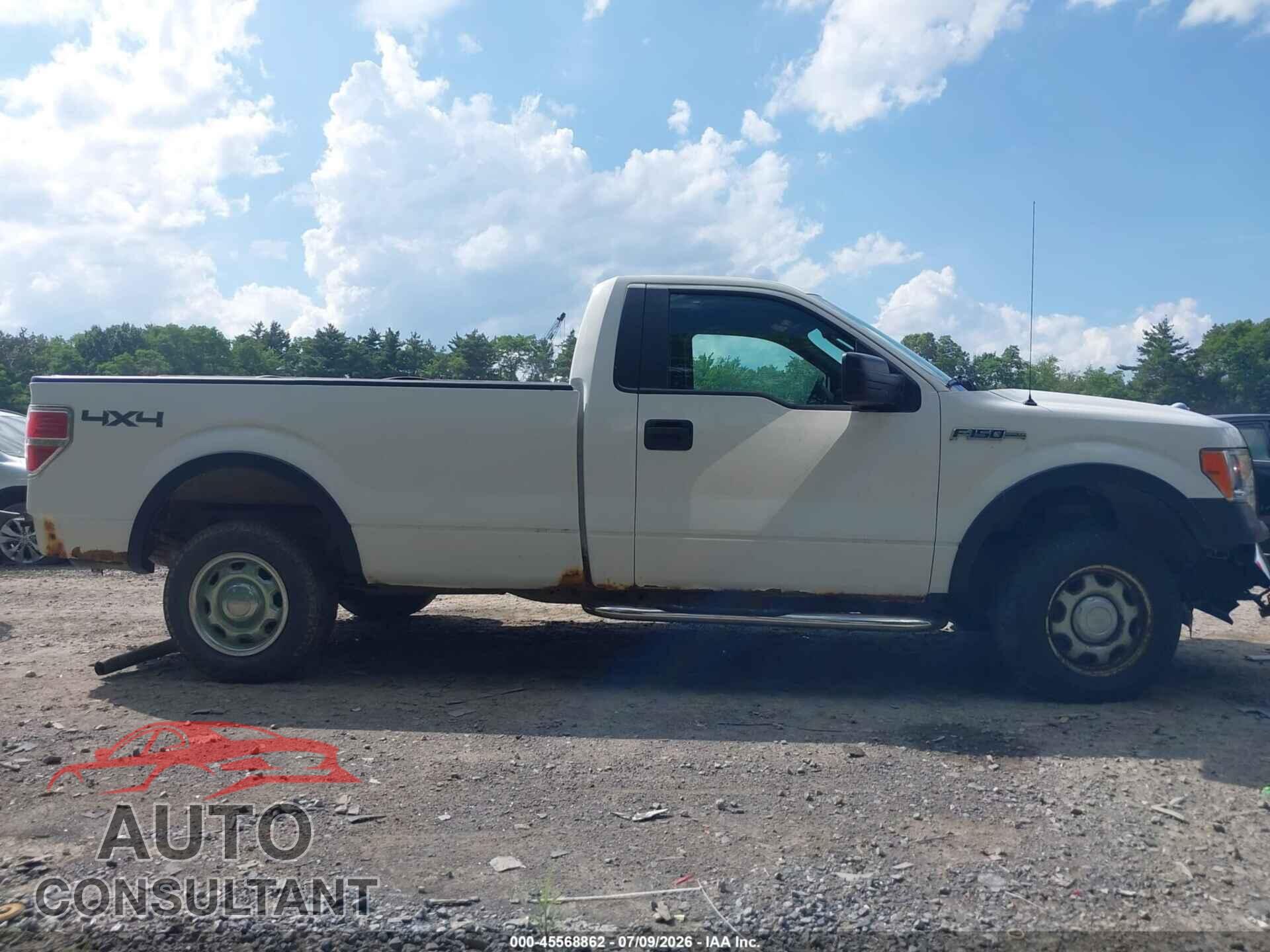 FORD F-150 2011 - 1FTMF1EM0BKD82832