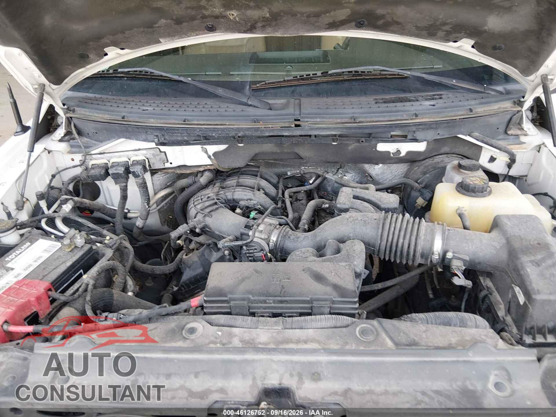 FORD F-150 2012 - 1FTEW1CM1CFB37006