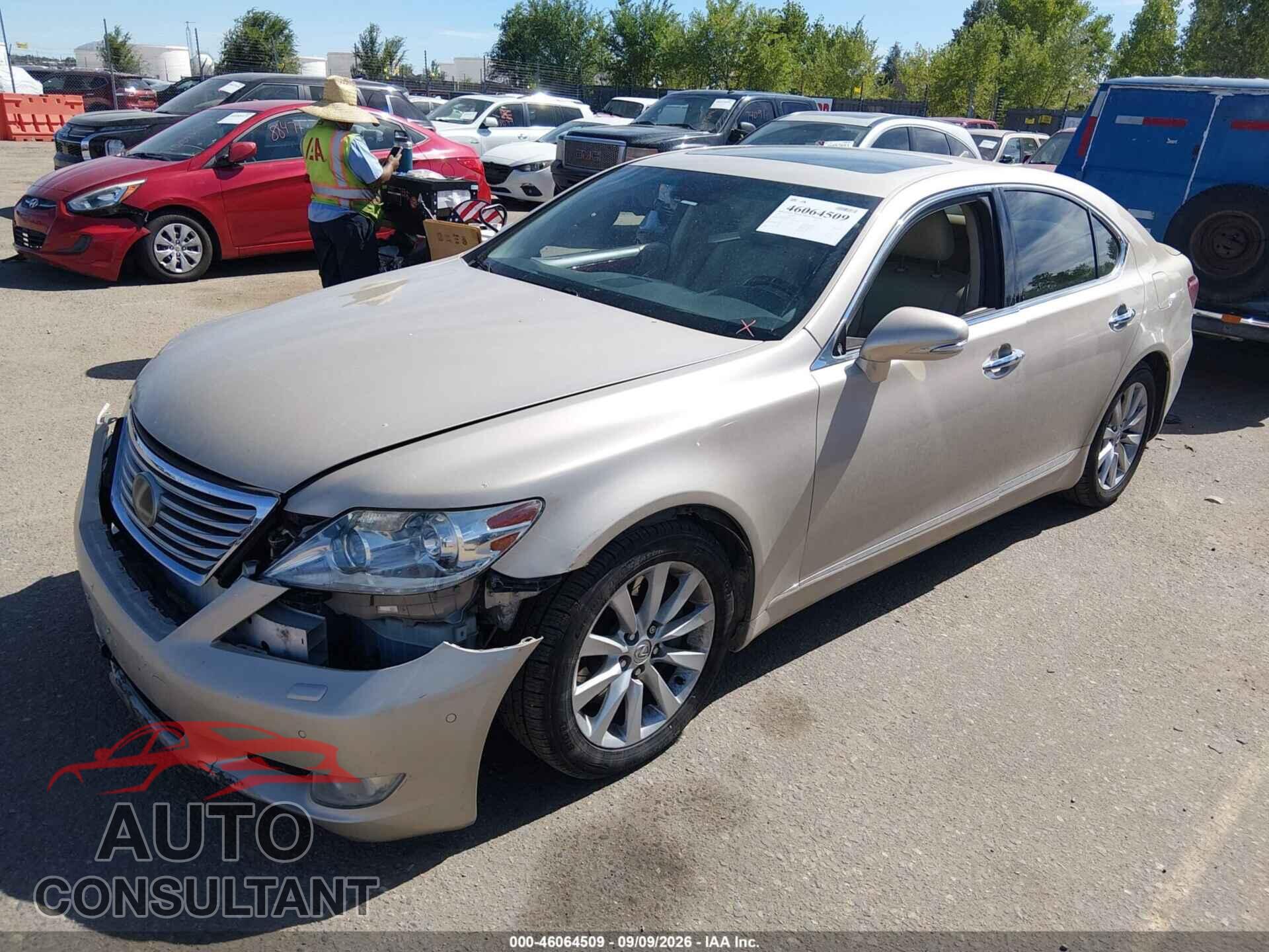 LEXUS LS 460 2011 - JTHCL5EF4B5012154