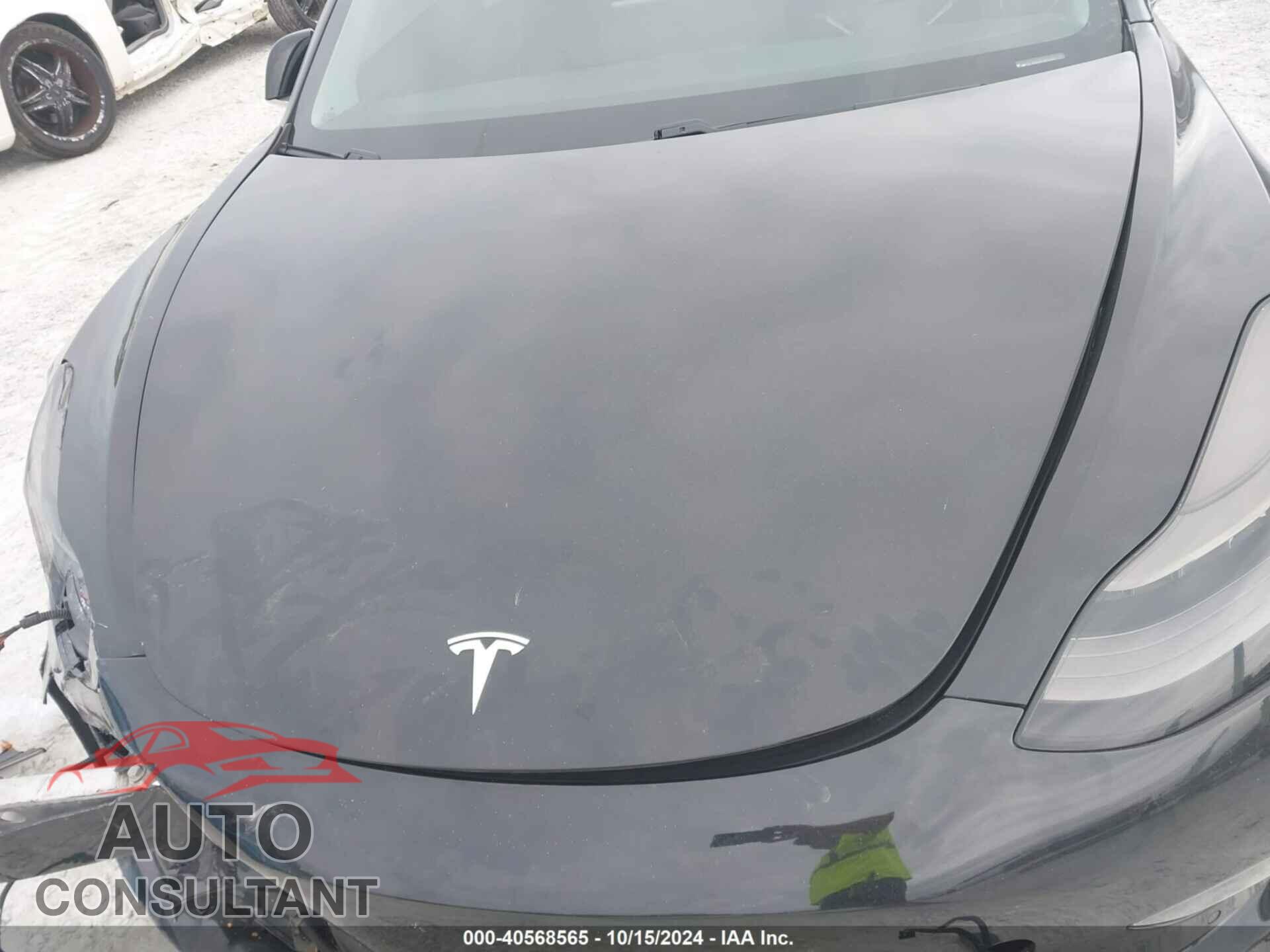 TESLA MODEL 3 2018 - 5YJ3E1EB2JF113370