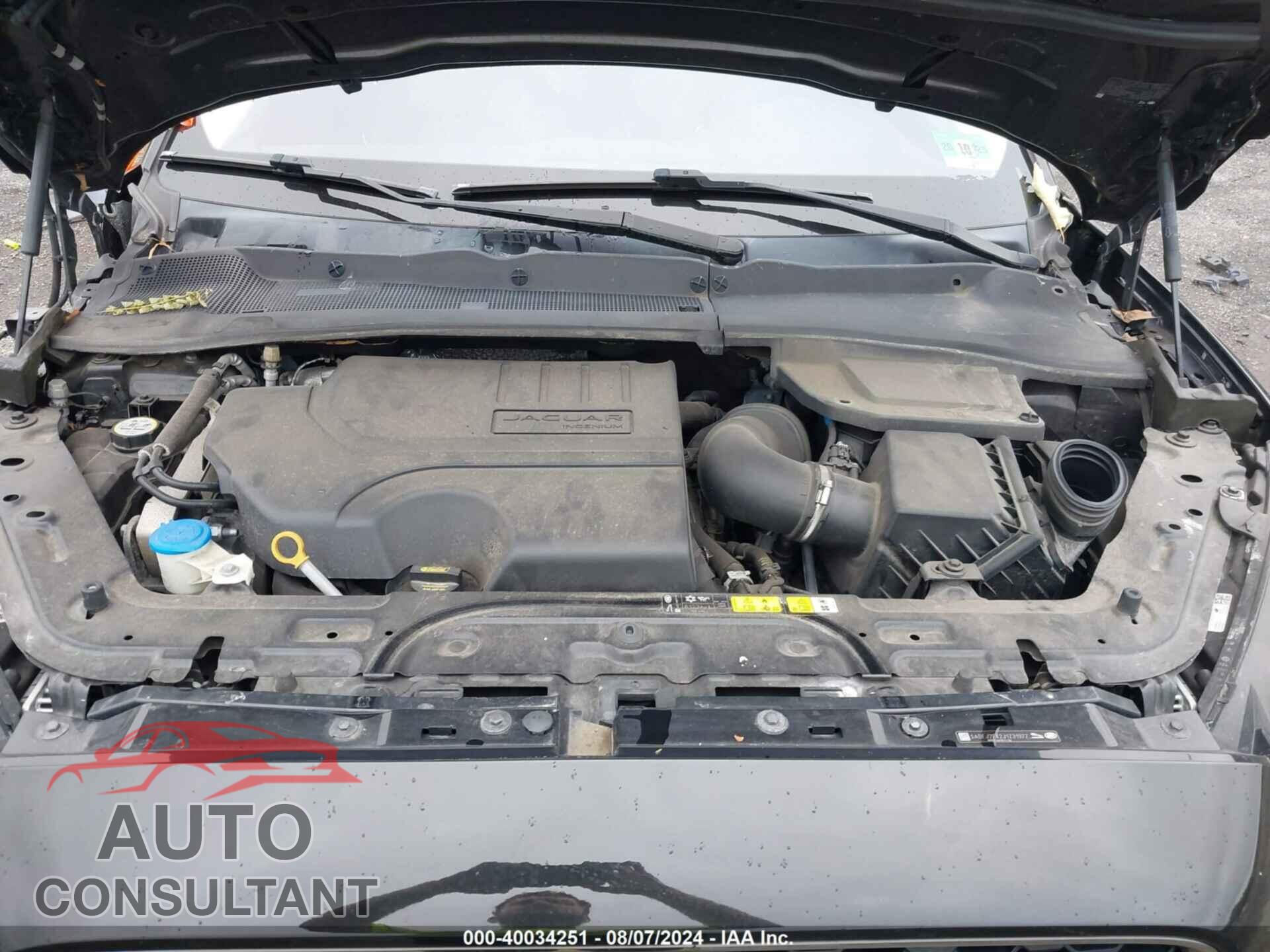 JAGUAR E-PACE 2018 - SADFJ2FX2J1Z31977