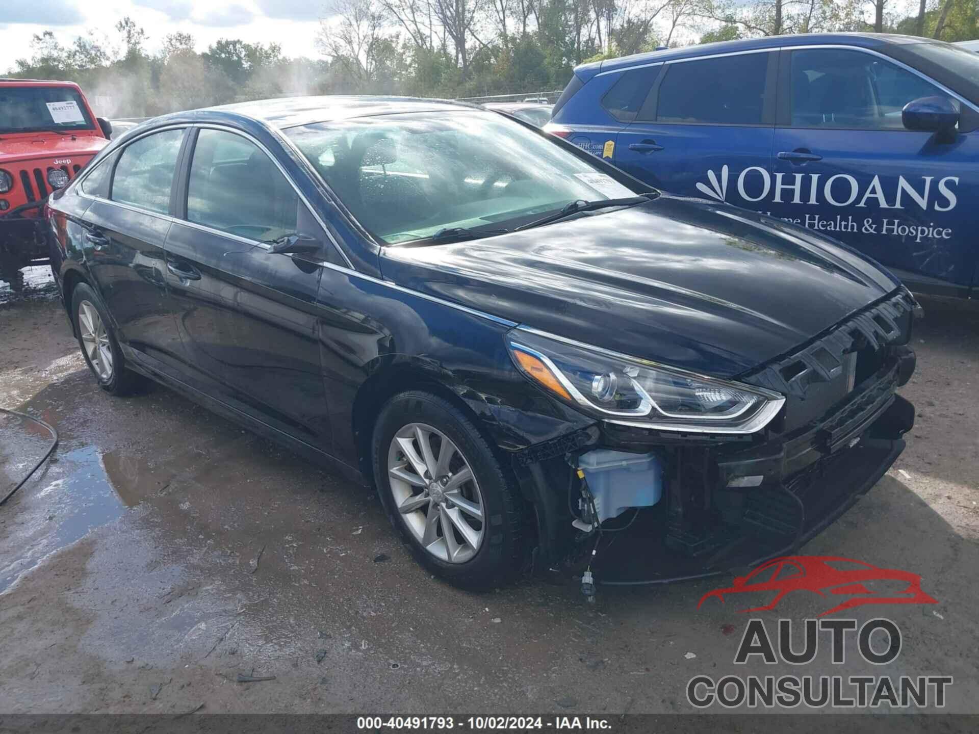 HYUNDAI SONATA 2019 - 5NPE24AF4KH761744