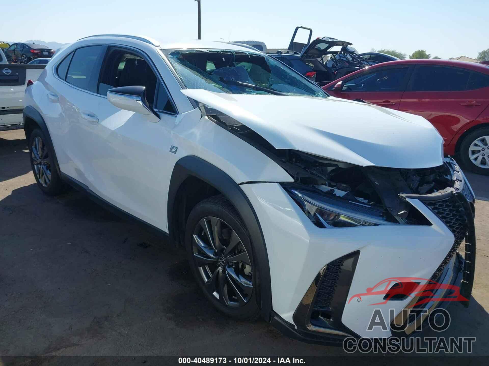 LEXUS UX 200 2021 - JTHE3JBH0M2038181