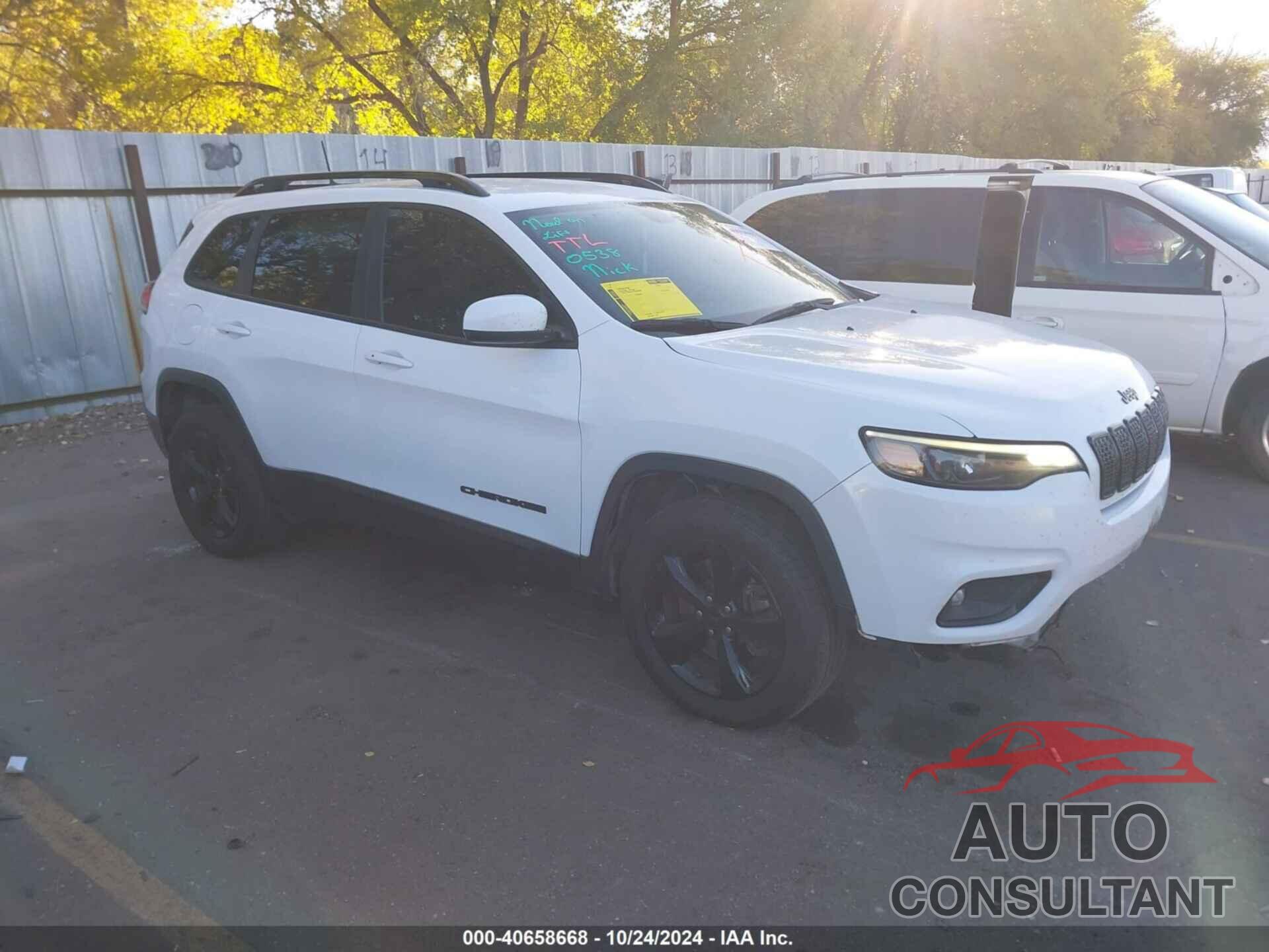 JEEP CHEROKEE 2019 - 1C4PJMLB7KD453821