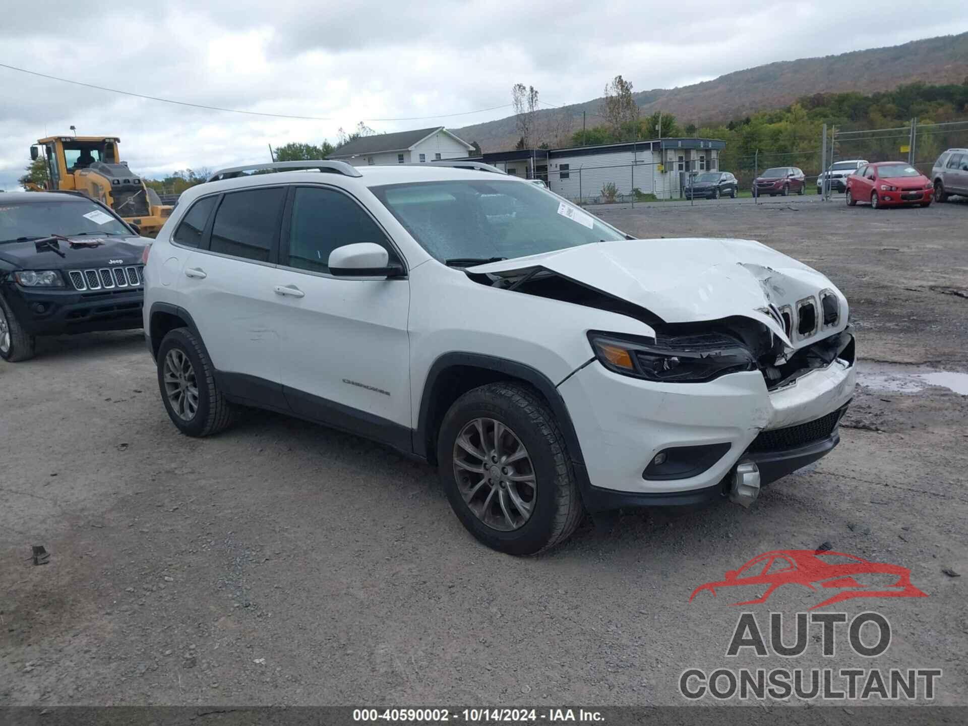 JEEP CHEROKEE 2019 - 1C4PJMLB0KD198798