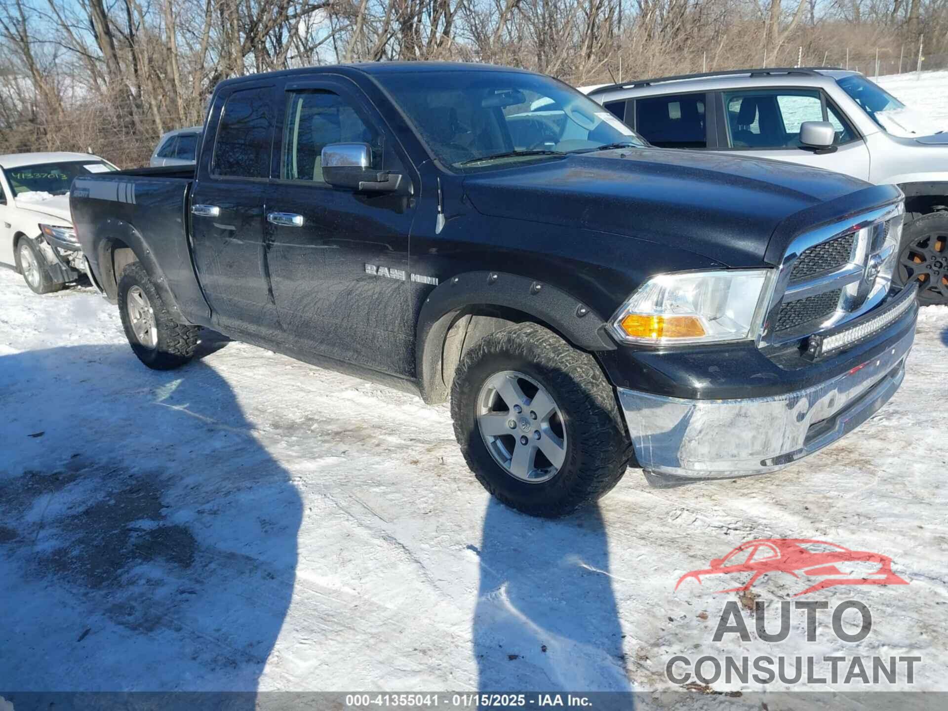 DODGE RAM 1500 2010 - 1D7RV1GT0AS147347