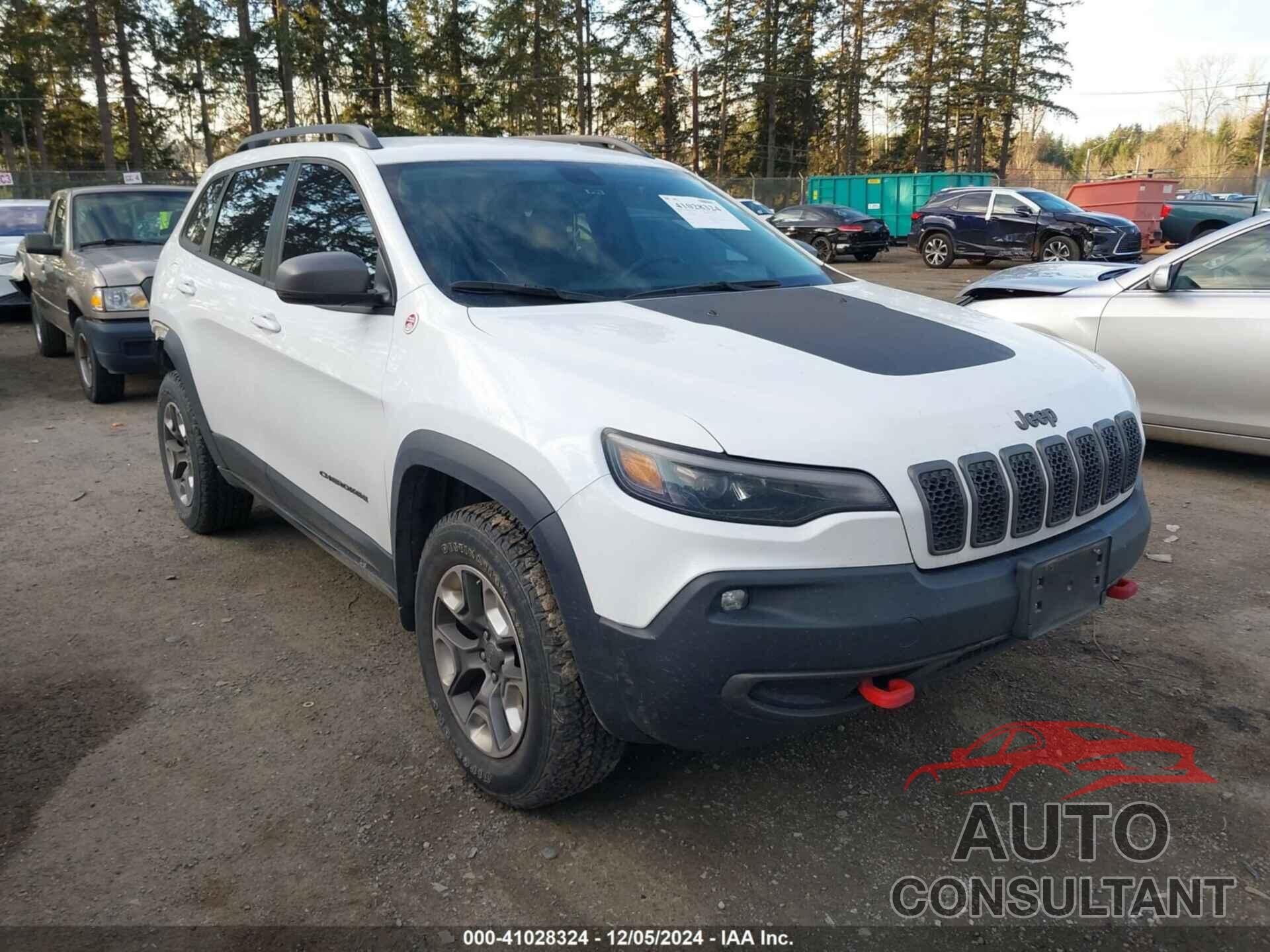 JEEP CHEROKEE 2019 - 1C4PJMBX2KD362033