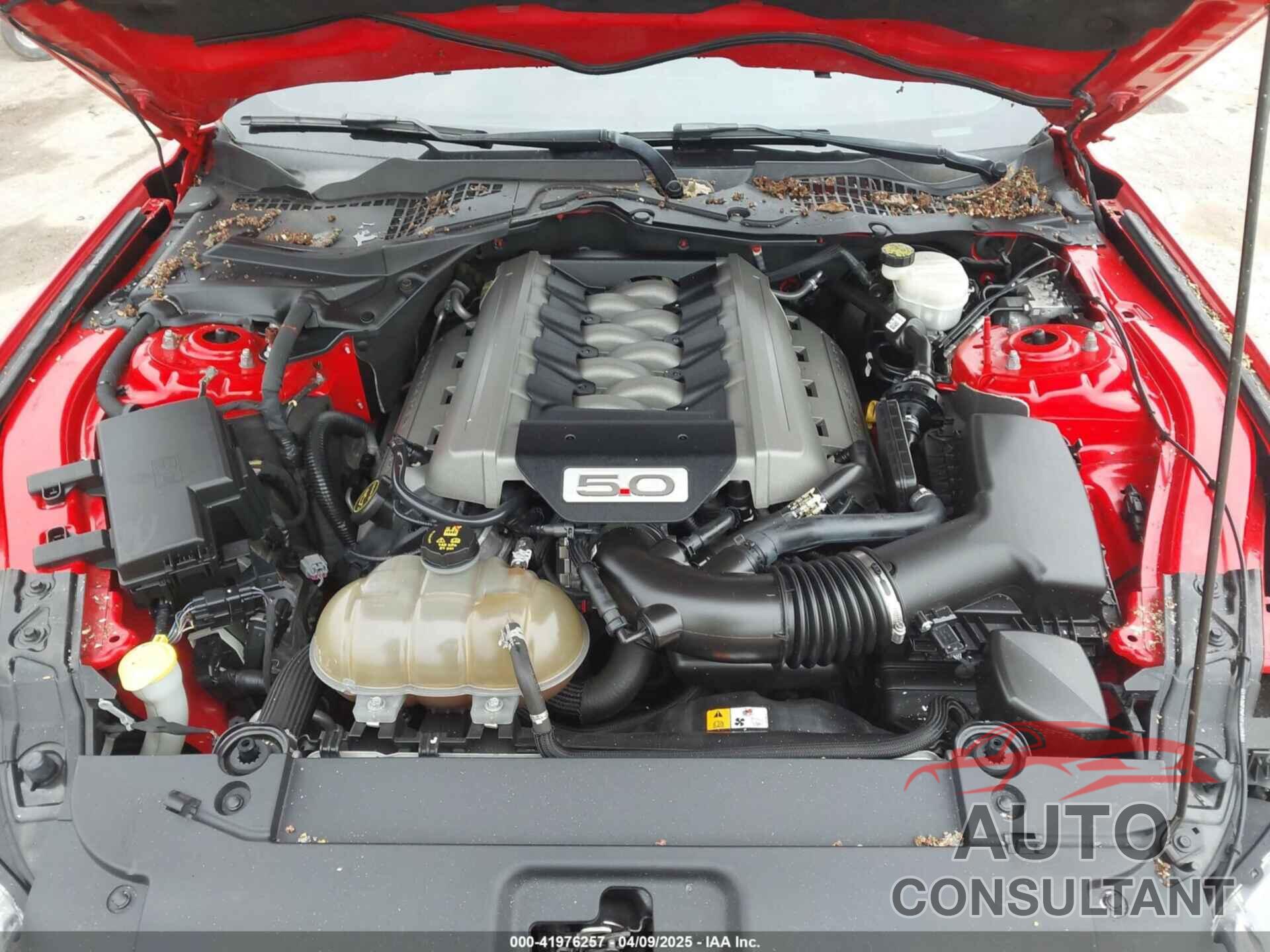 FORD MUSTANG 2016 - 1FA6P8CF6G5266338