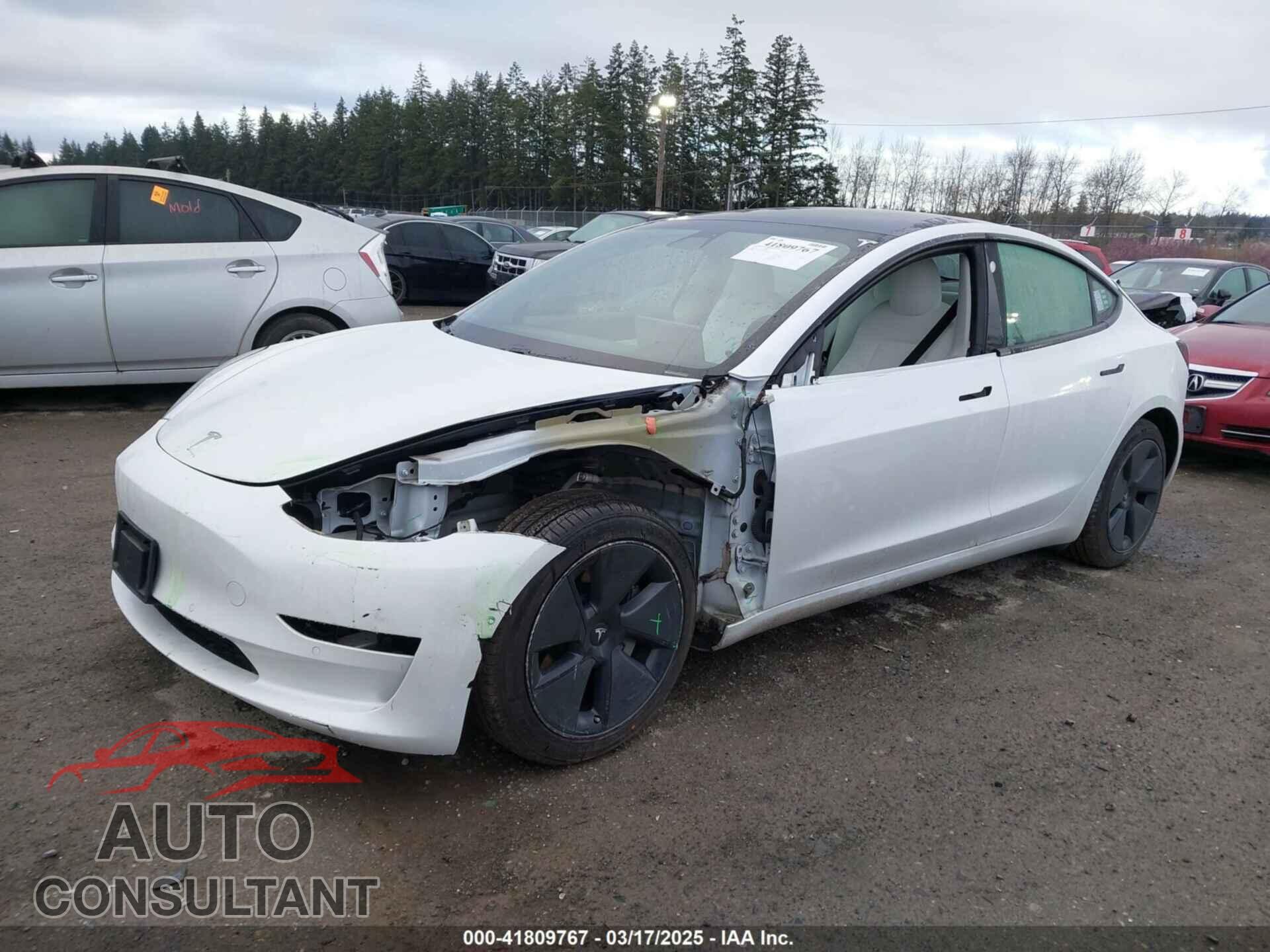 TESLA MODEL 3 2021 - 5YJ3E1EB3MF856009