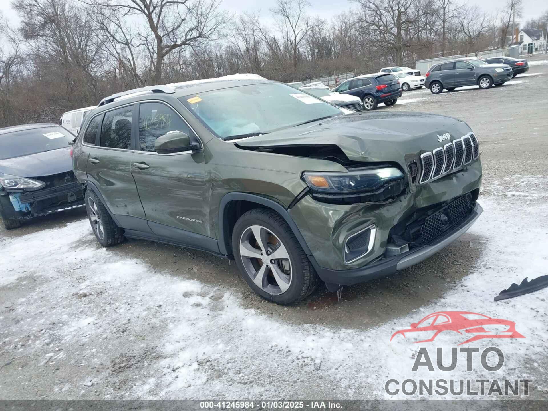 JEEP CHEROKEE 2019 - 1C4PJLDX3KD273157