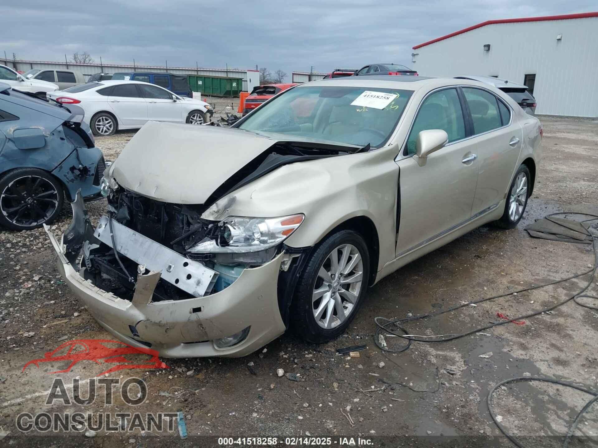 LEXUS LS 460 2010 - JTHBL5EF8A5099793