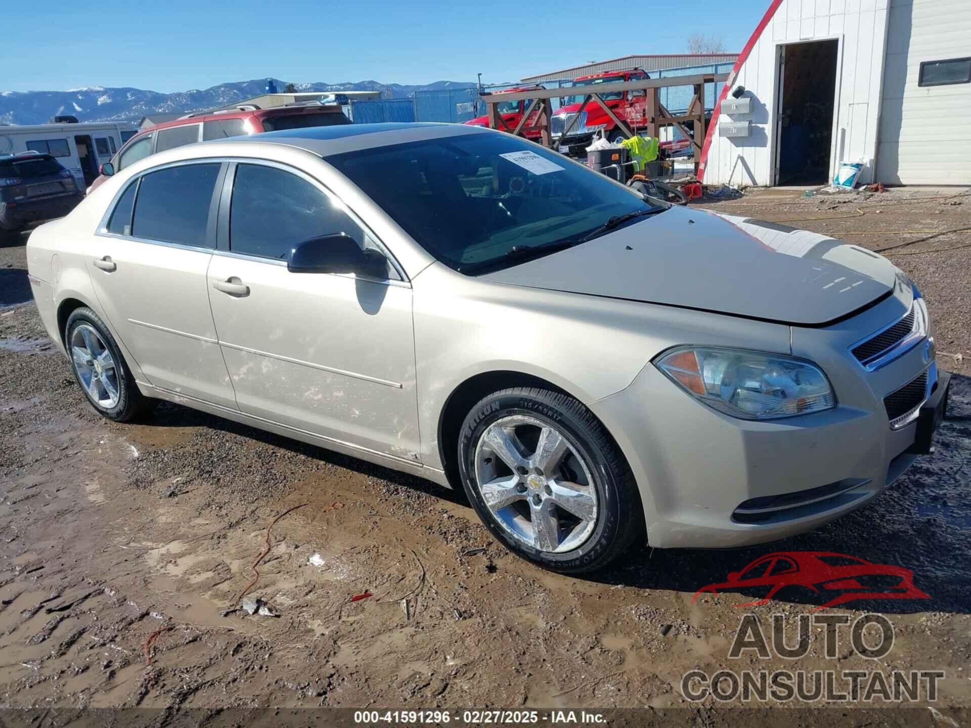 CHEVROLET MALIBU 2010 - 1G1ZD5EB2AF123311
