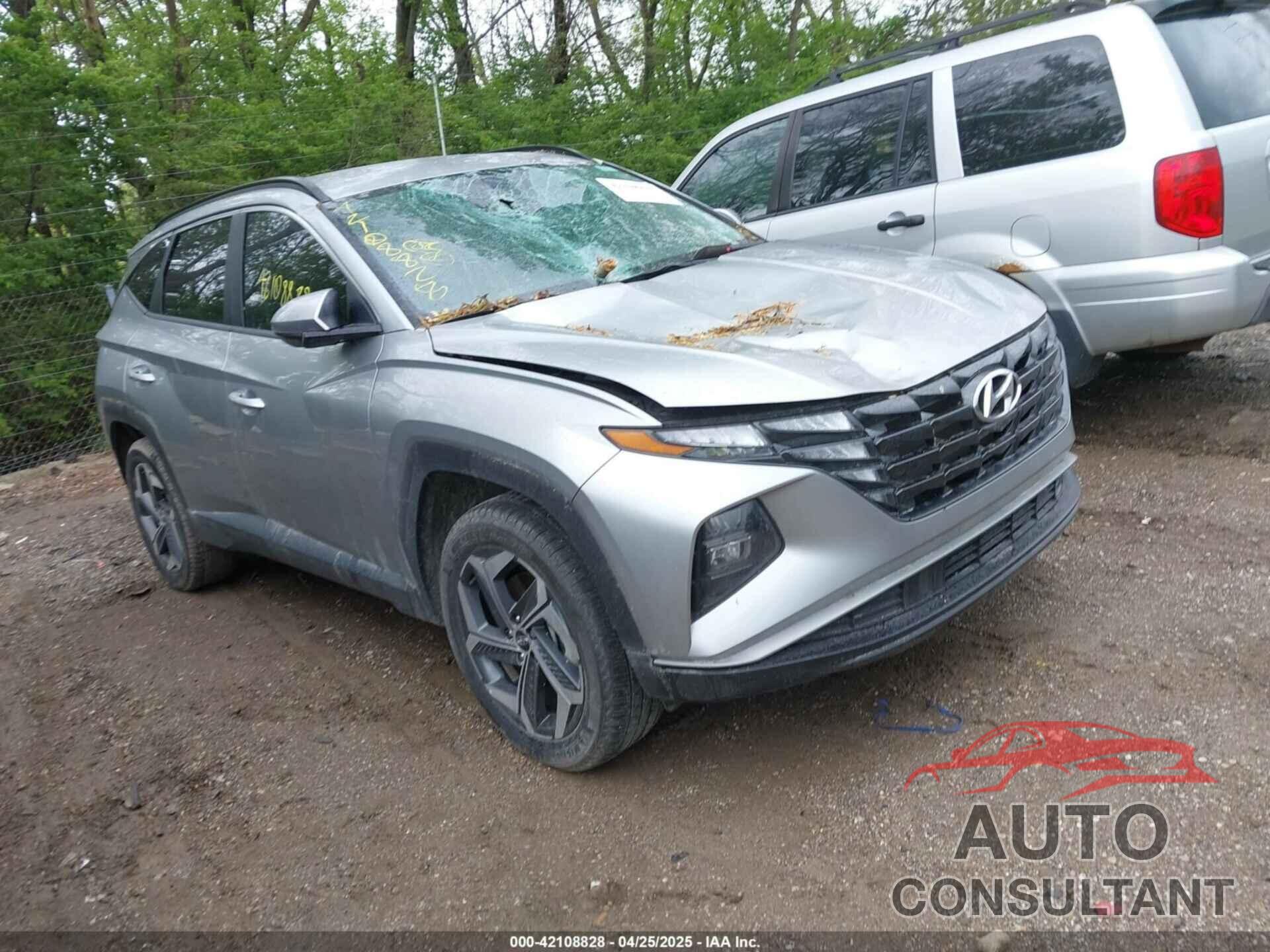 HYUNDAI TUCSON 2024 - 5NMJBCDE8RH424934