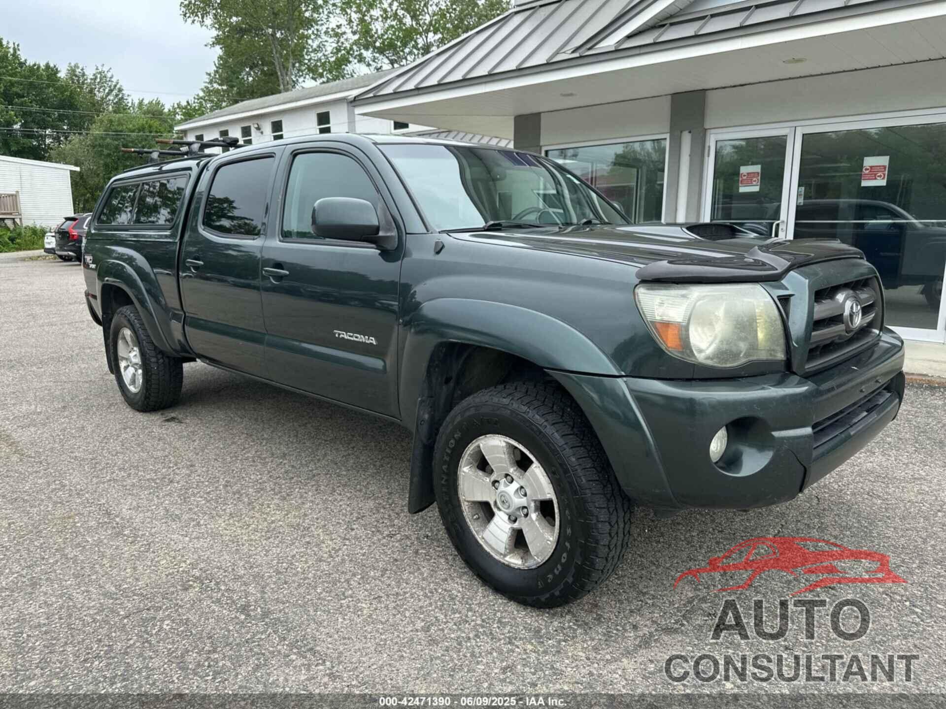 TOYOTA TACOMA 2009 - 3TMMU52N39M012424