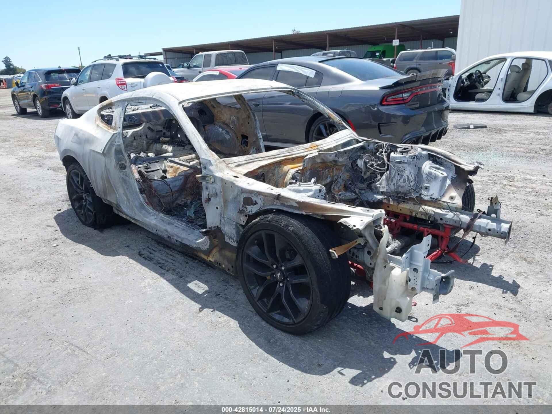 FORD MUSTANG 2019 - 1FA6P8CFXK5169586