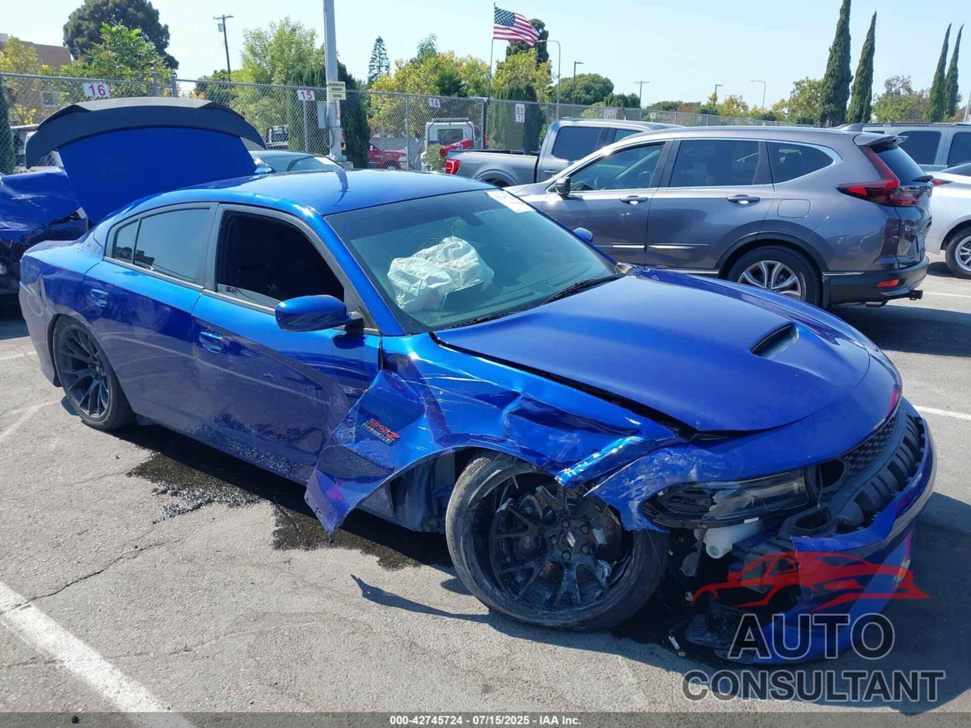 DODGE CHARGER 2019 - 2C3CDXGJ0KH737825