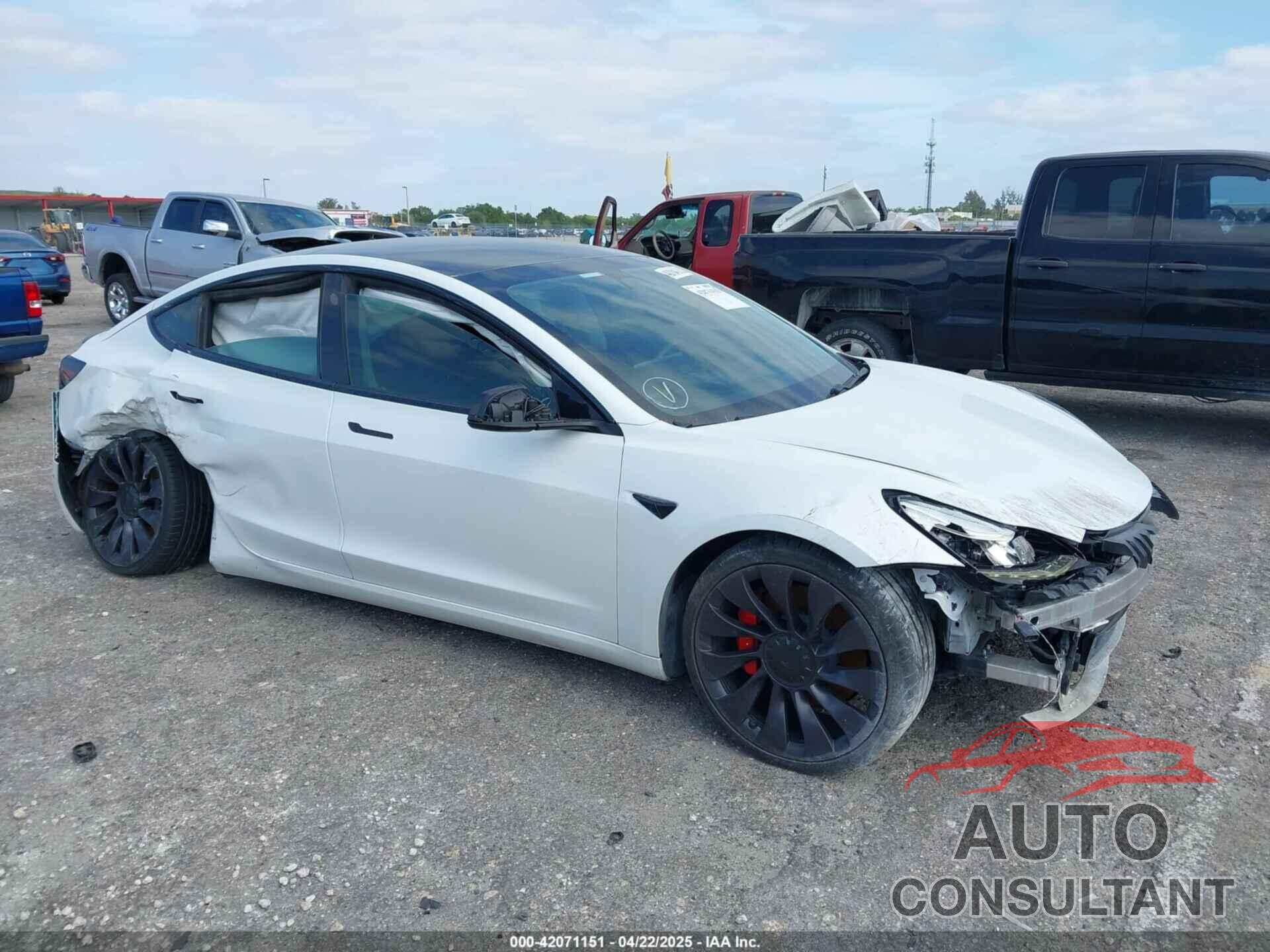TESLA MODEL 3 2021 - 5YJ3E1EC5MF984891