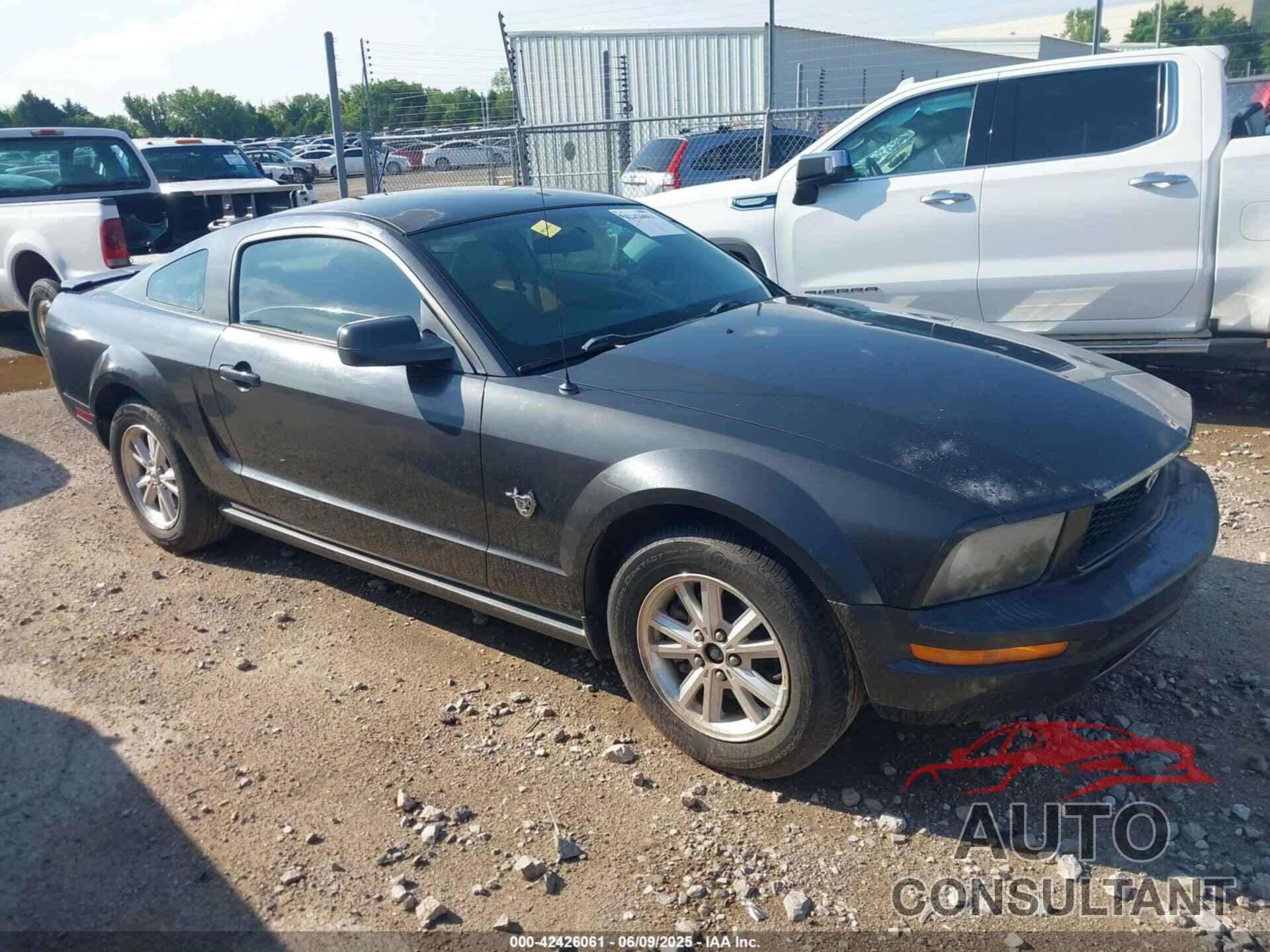 FORD MUSTANG 2009 - 1ZVHT80NX95146018
