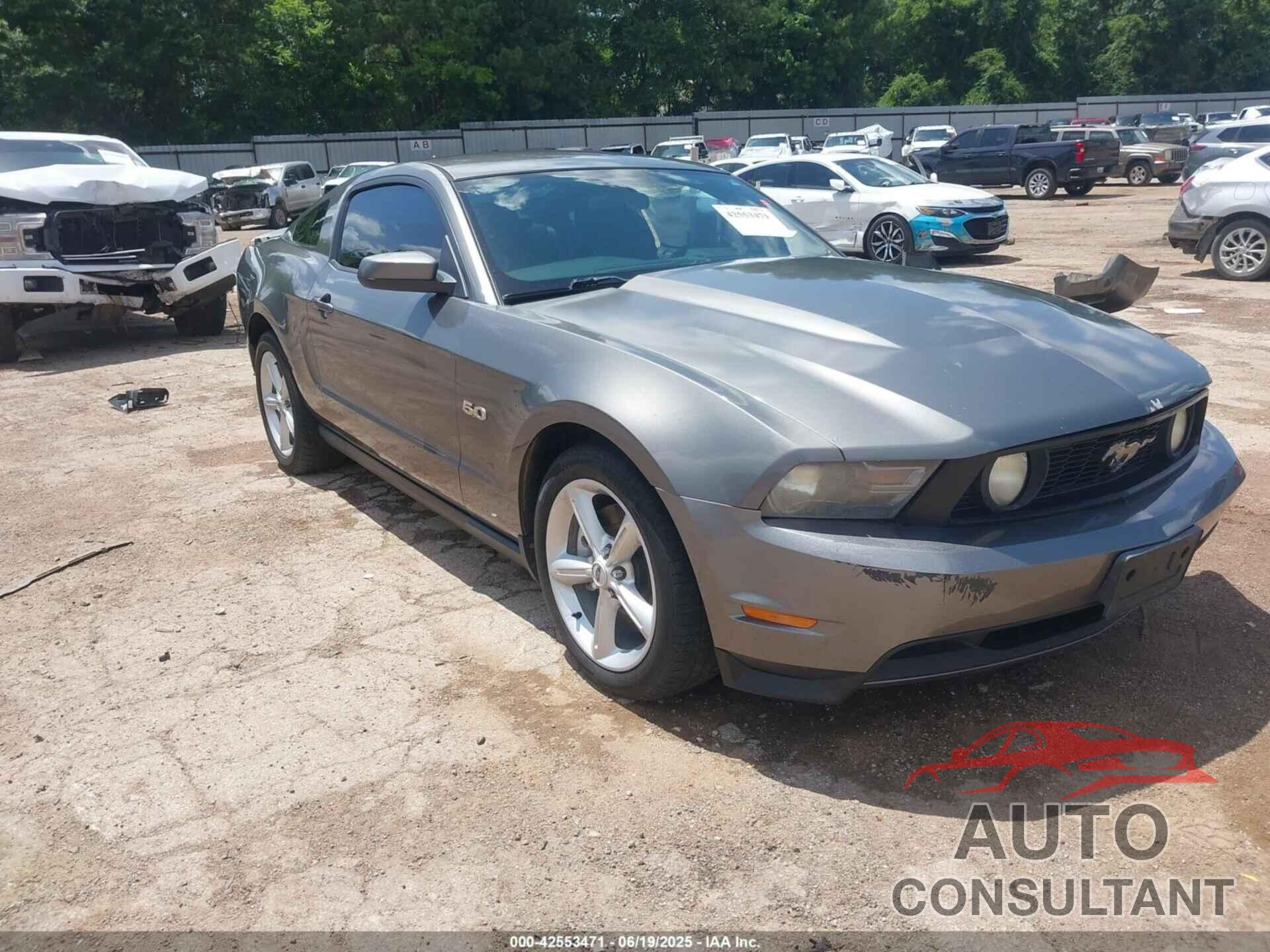 FORD MUSTANG 2011 - 1ZVBP8CF8B5165185