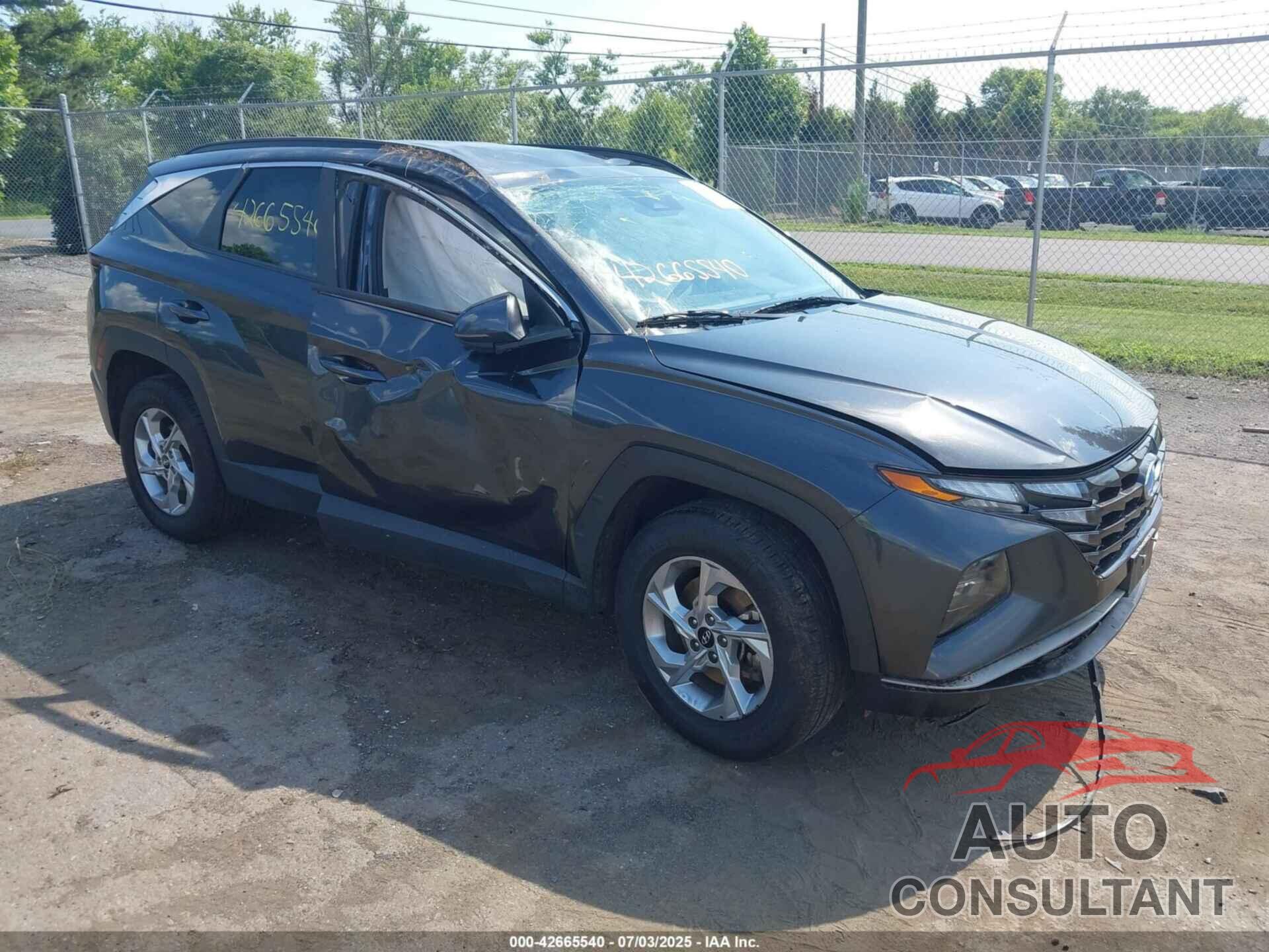 HYUNDAI TUCSON 2023 - 5NMJBCAE2PH199105