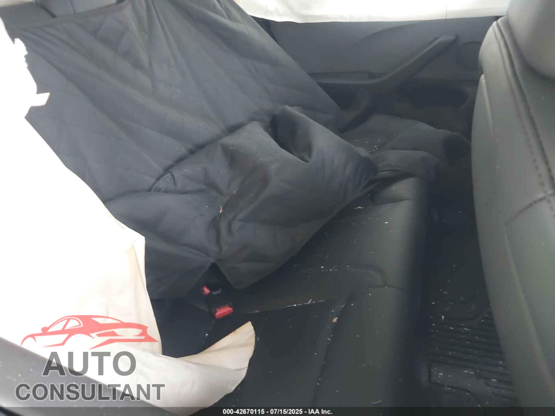 TESLA MODEL 3 2024 - 5YJ3E1EA2RF825350