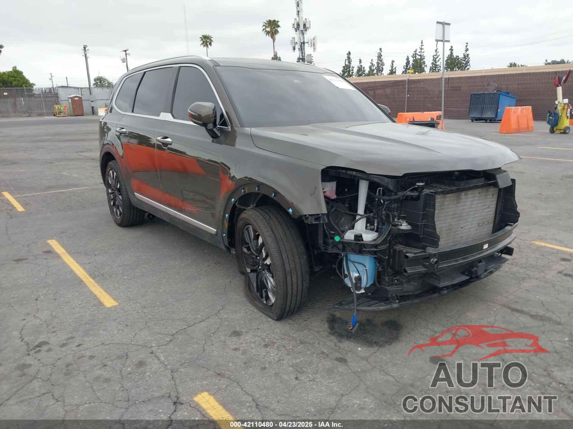 KIA TELLURIDE 2024 - 5XYP5DGC2RG417456