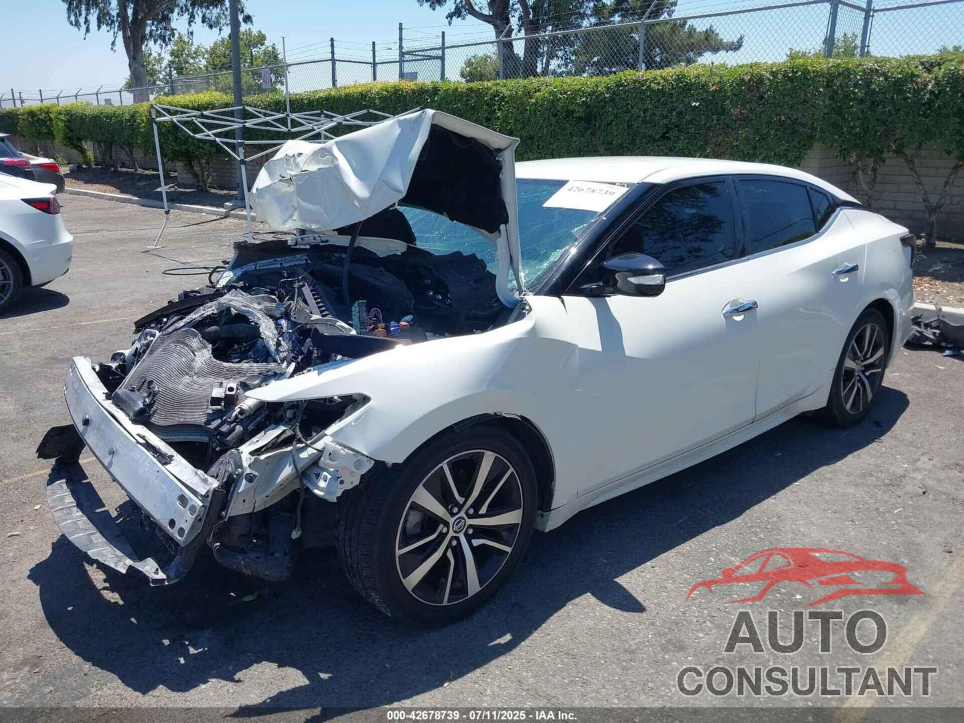 NISSAN MAXIMA 2022 - 1N4AA6CV5NC504552