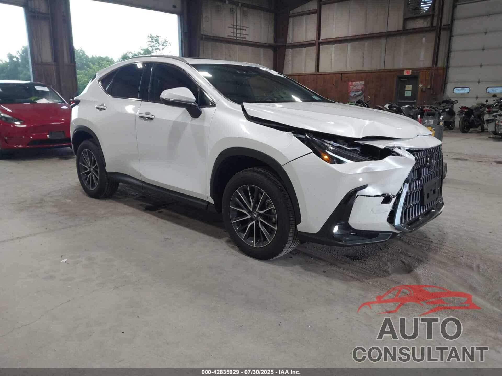 LEXUS NX 350 2025 - 2T2AGCEZ6SC067926