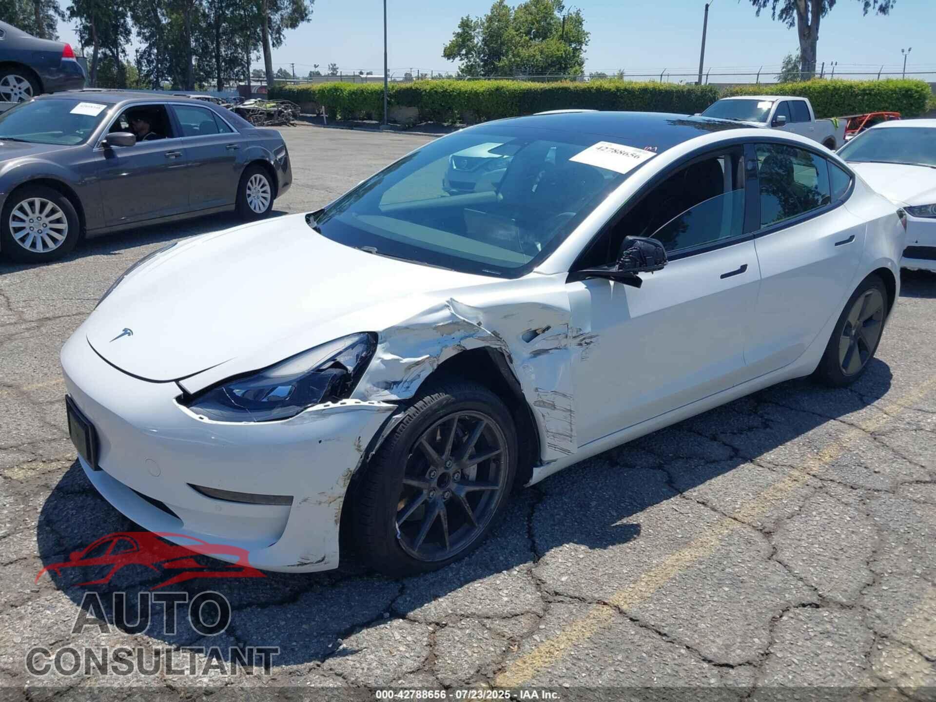 TESLA MODEL 3 2021 - 5YJ3E1EA8MF985547