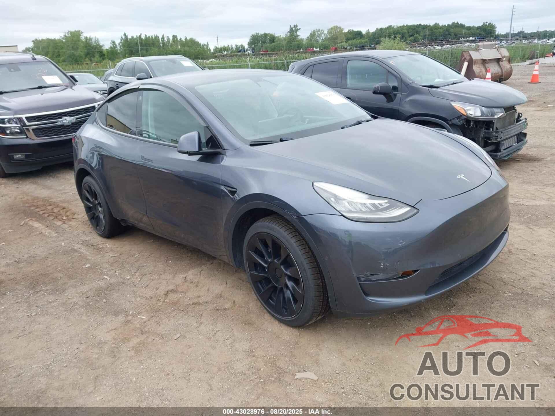 TESLA MODEL Y 2021 - 5YJYGDEE6MF115591