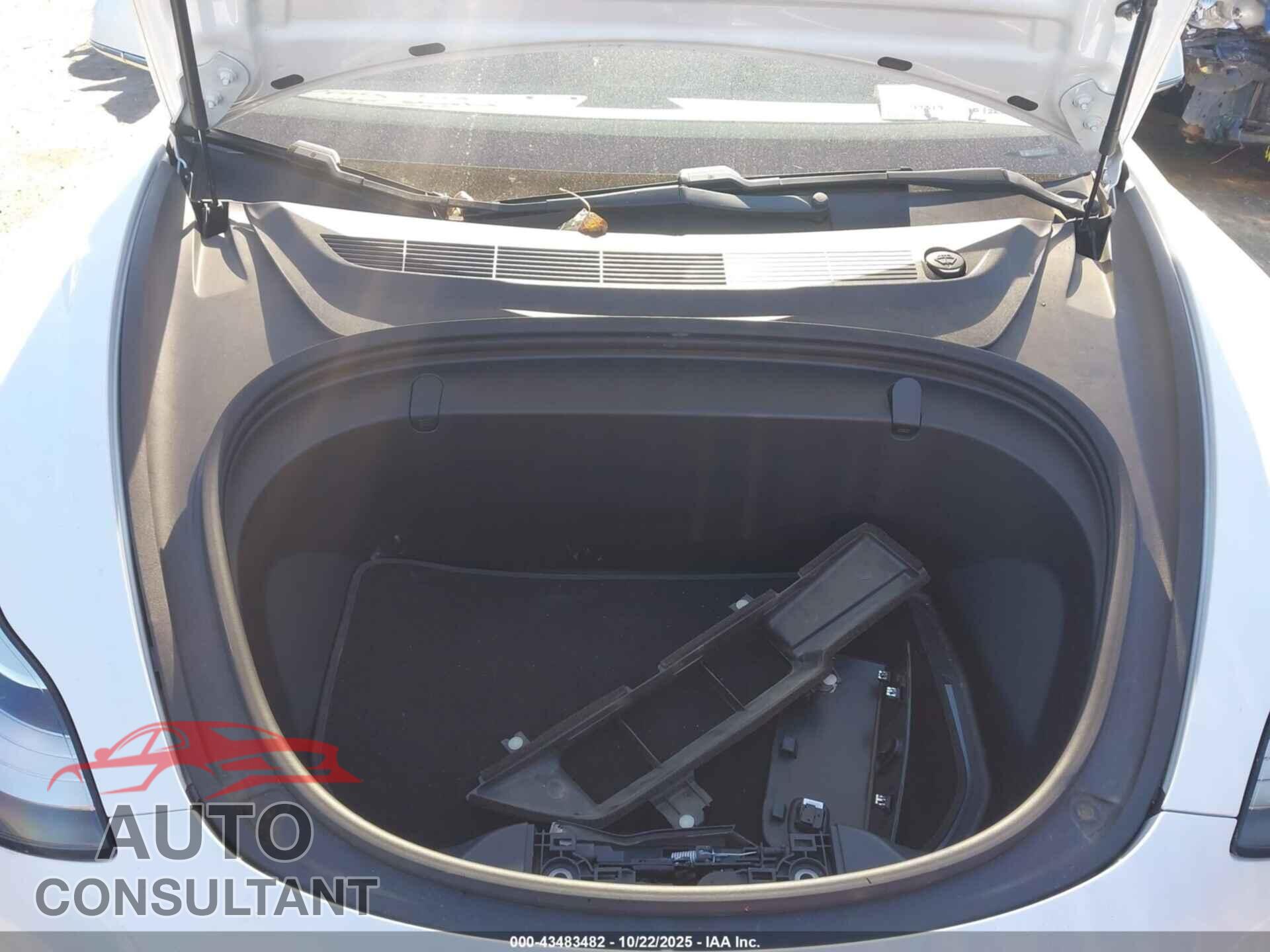 TESLA MODEL 3 2019 - 5YJ3E1EB2KF199779