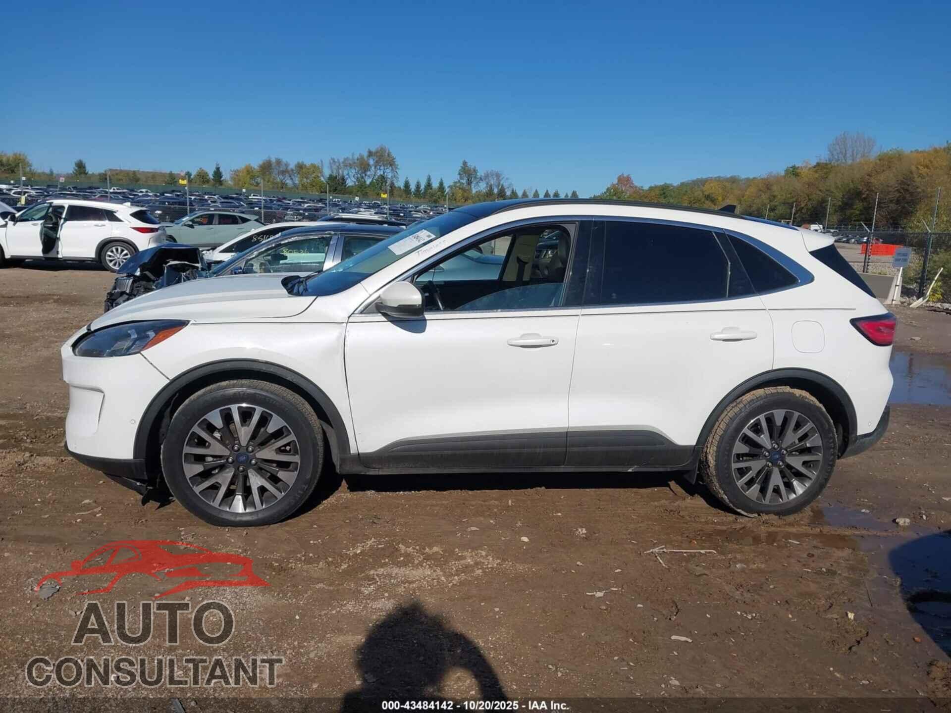 FORD ESCAPE 2020 - 1FMCU9J98LUA38748