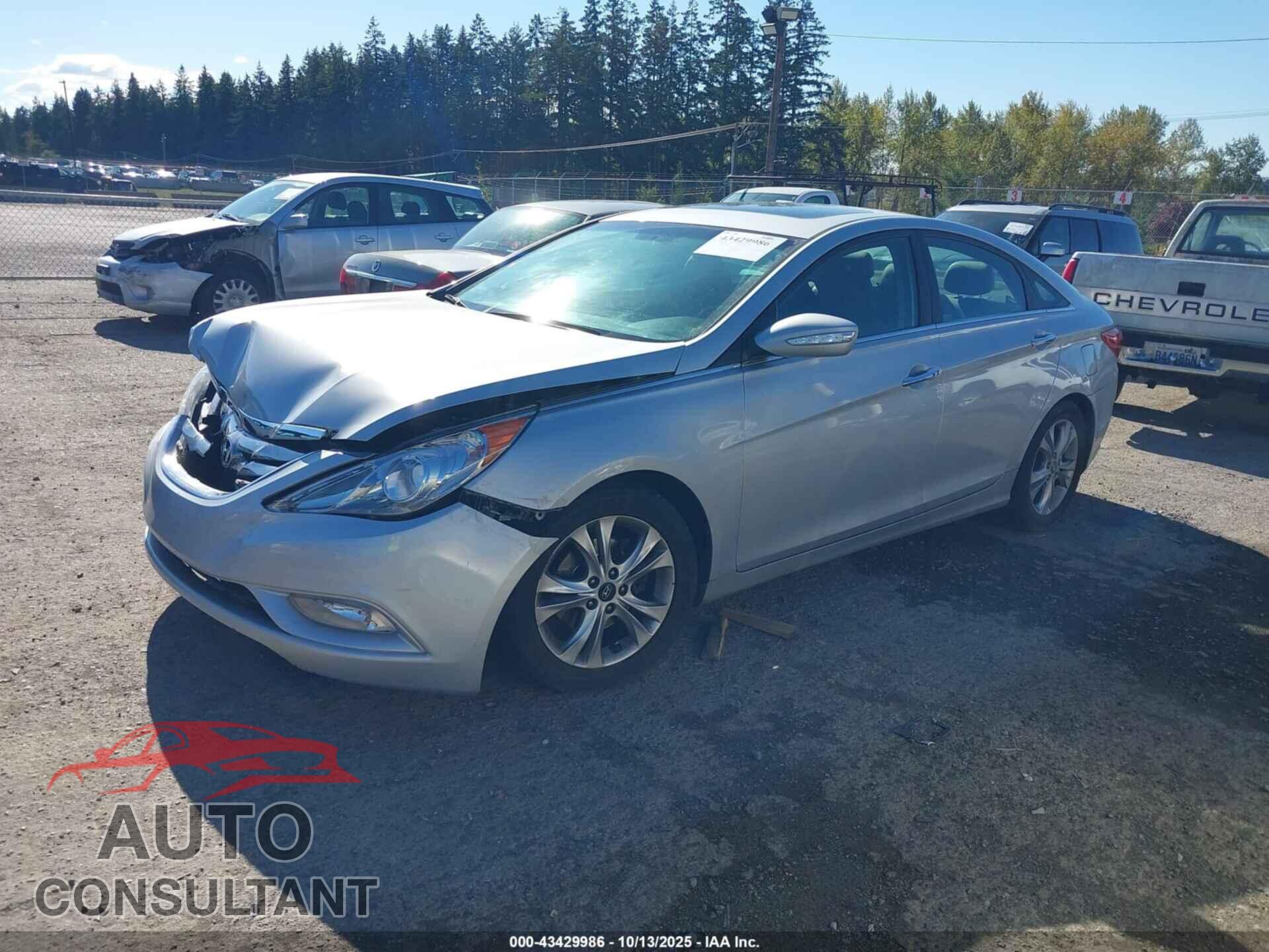 HYUNDAI SONATA 2011 - 5NPEC4AC7BH011645