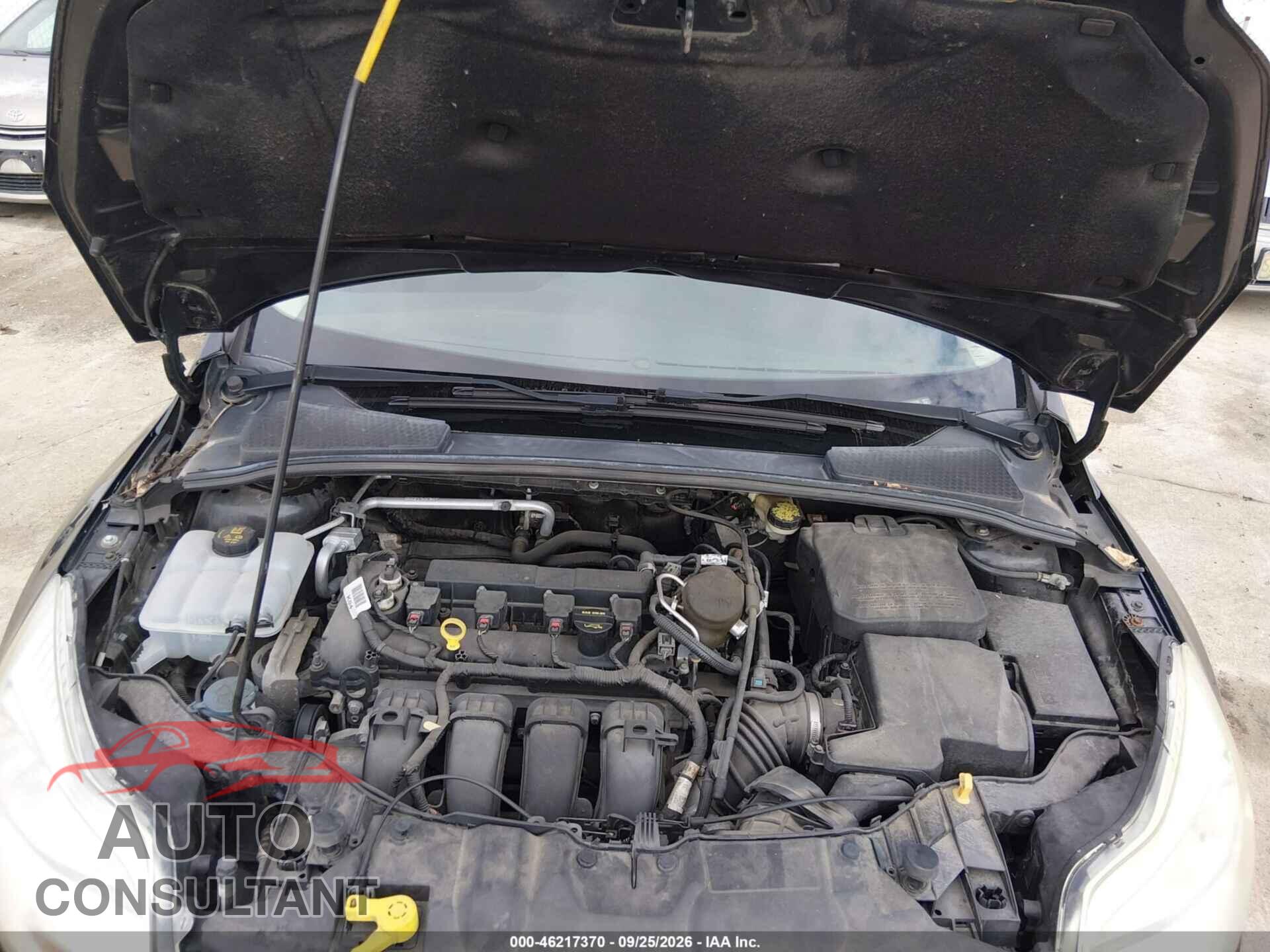 FORD FOCUS 2014 - 1FADP3E20EL389288