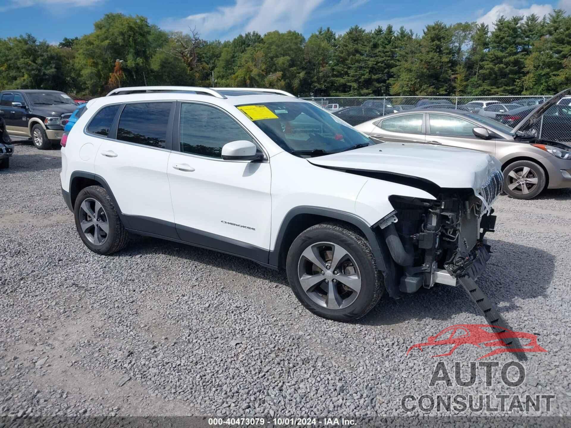JEEP CHEROKEE 2019 - 1C4PJMDX2KD254184