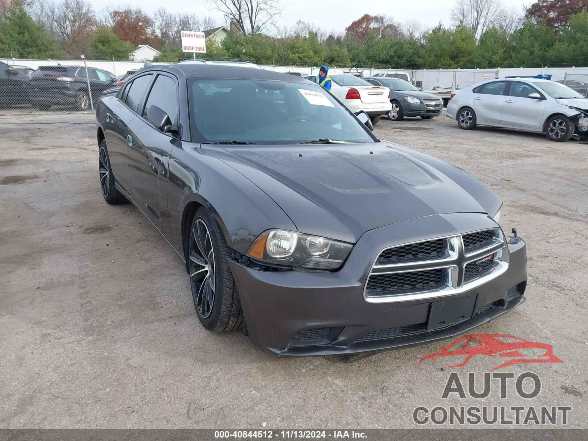 DODGE CHARGER 2014 - 2C3CDXBG0EH303159