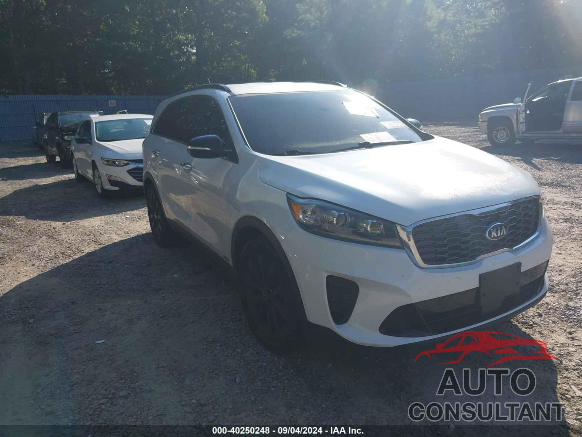 KIA SORENTO 2020 - 5XYPGDA53LG657045