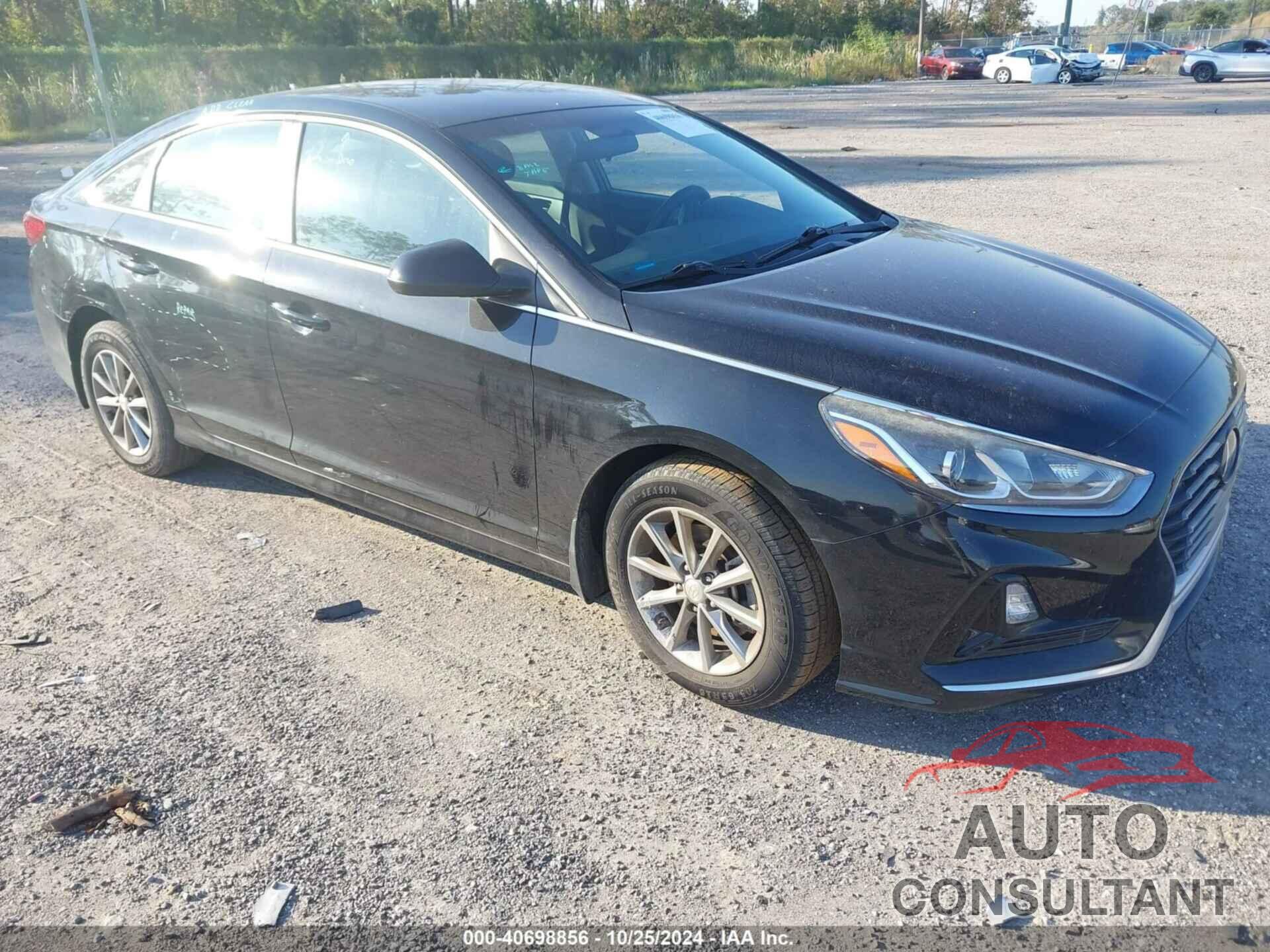 HYUNDAI SONATA 2019 - 5NPE24AF7KH788209