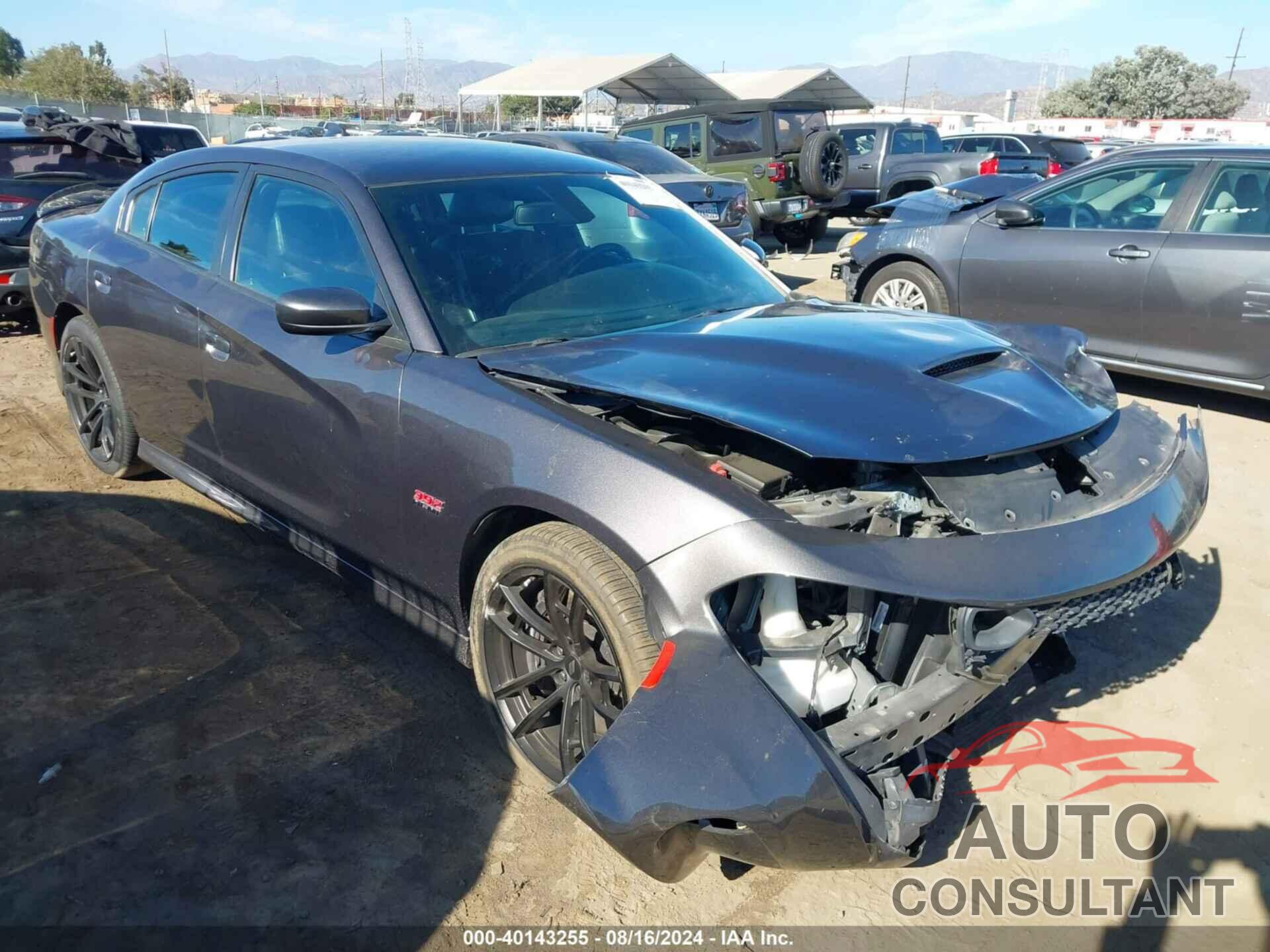 DODGE CHARGER 2020 - 2C3CDXGJ5LH183229