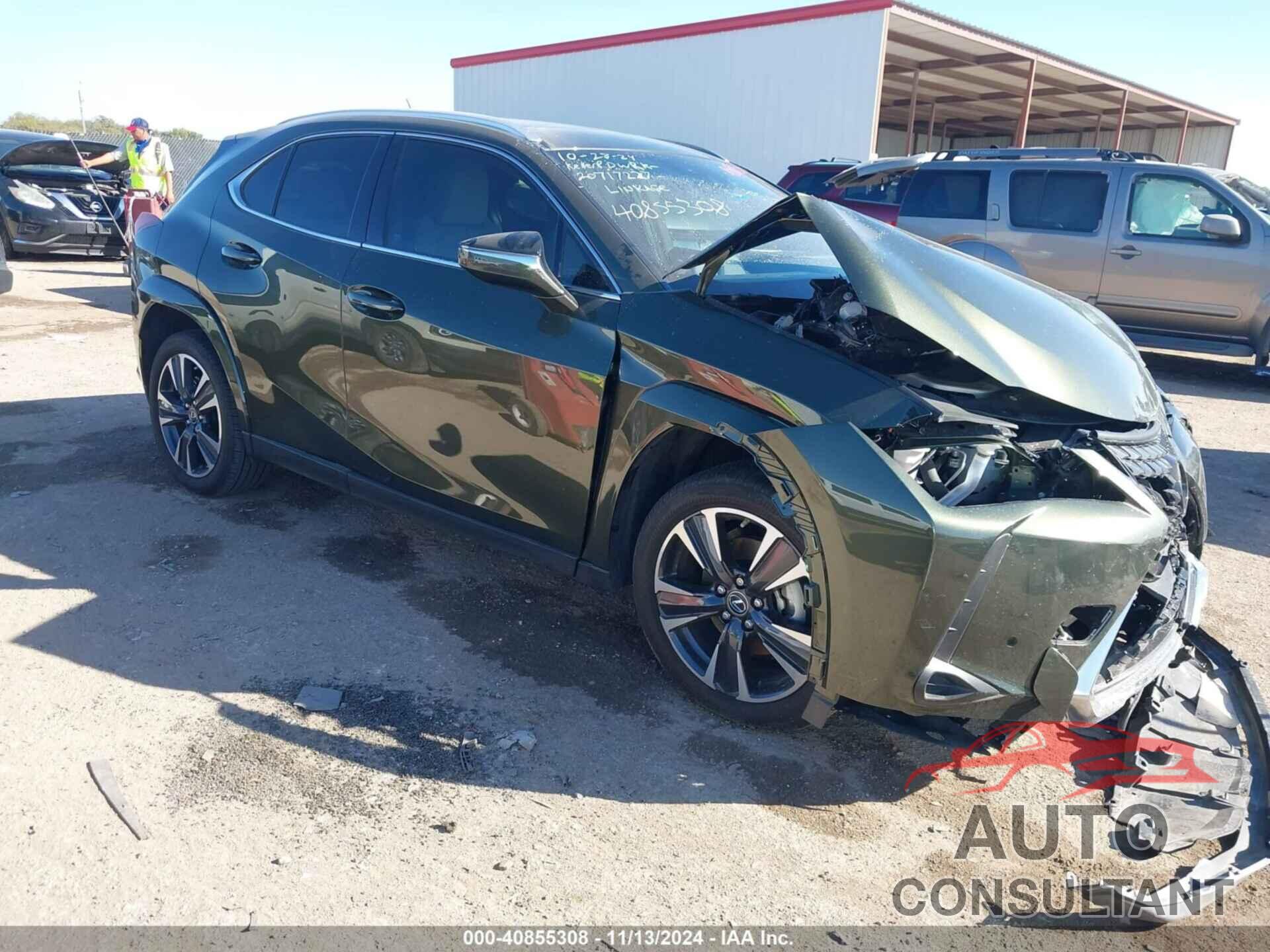 LEXUS UX 250H 2024 - JTHP6JBH9R2185591