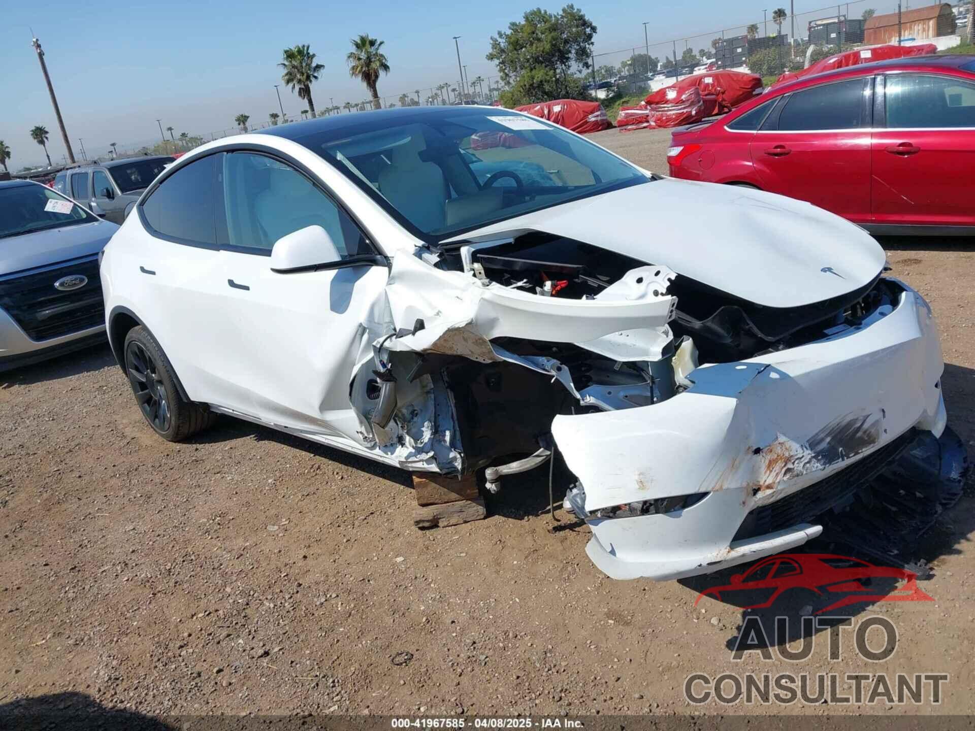 TESLA MODEL Y 2024 - 7SAYGDEE5RF126043