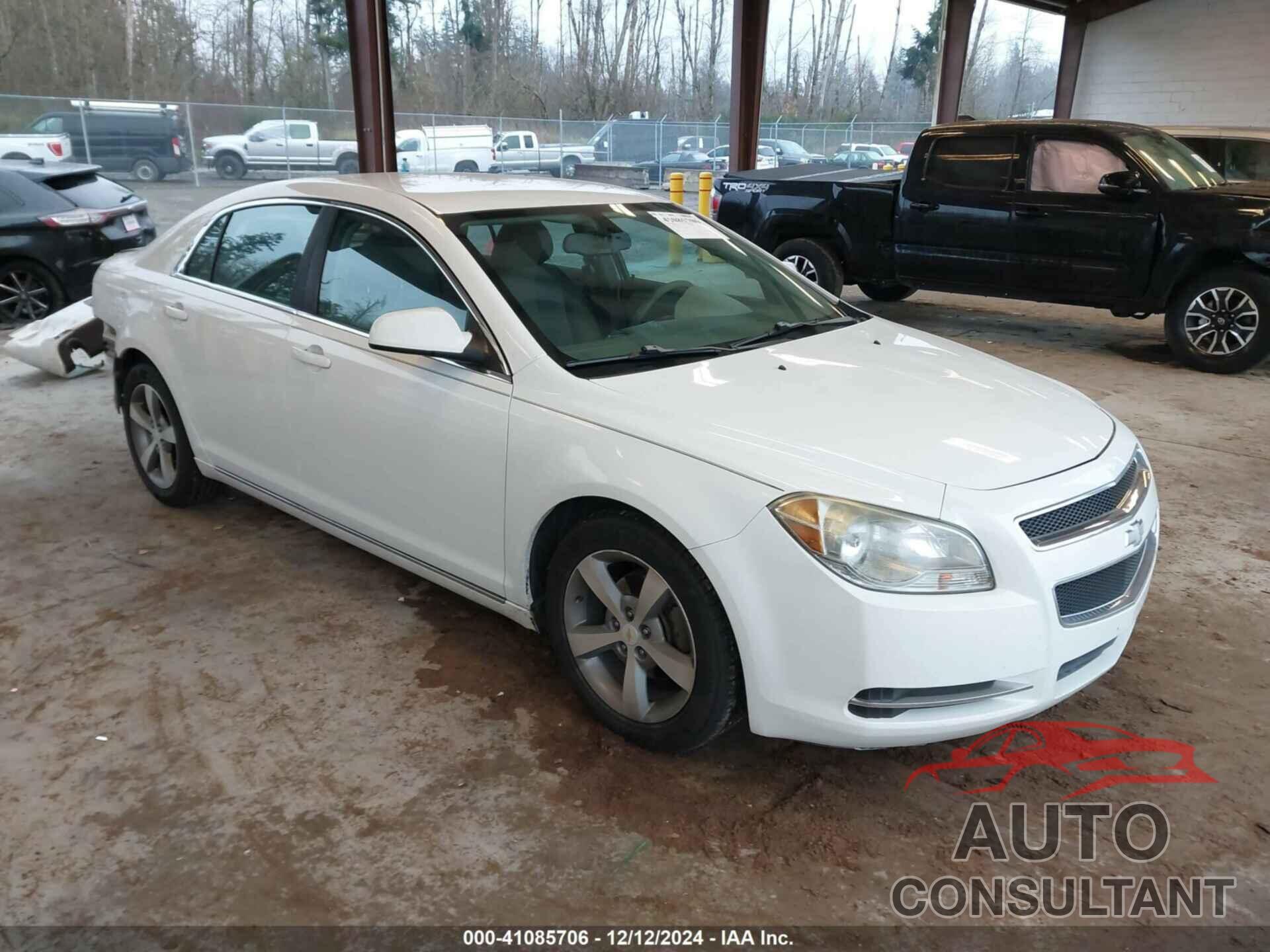 CHEVROLET MALIBU 2011 - 1G1ZC5EU8BF156769