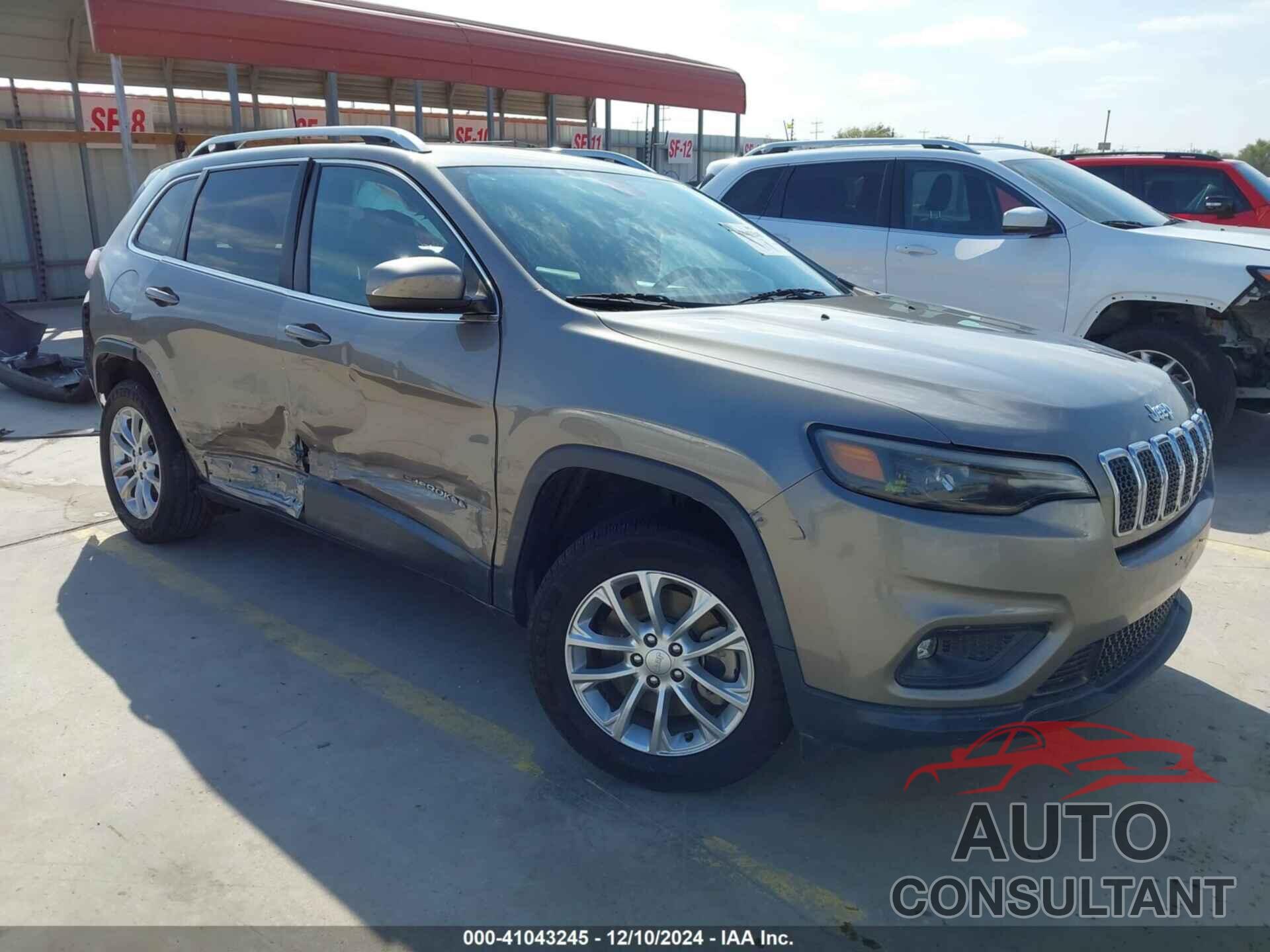 JEEP CHEROKEE 2019 - 1C4PJLCB9KD187597