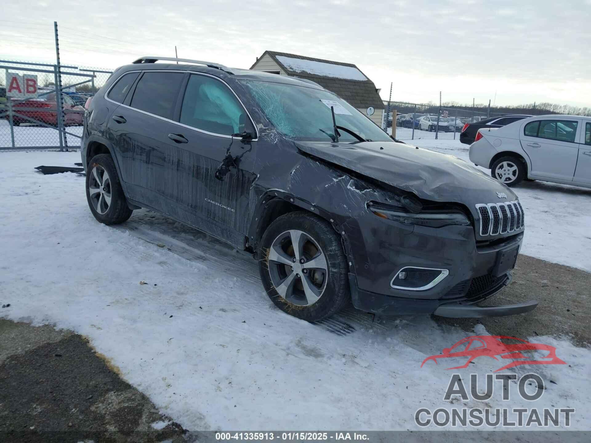 JEEP CHEROKEE 2019 - 1C4PJMDN1KD180688